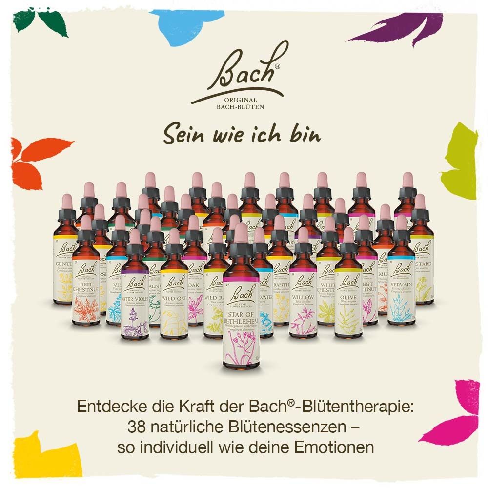 Viele Flaschen mit verschiedenen Etiketten. Text: Entdecke die Kraft der Bach-Blütentherapie: 38 natürliche Blütenessenzen.