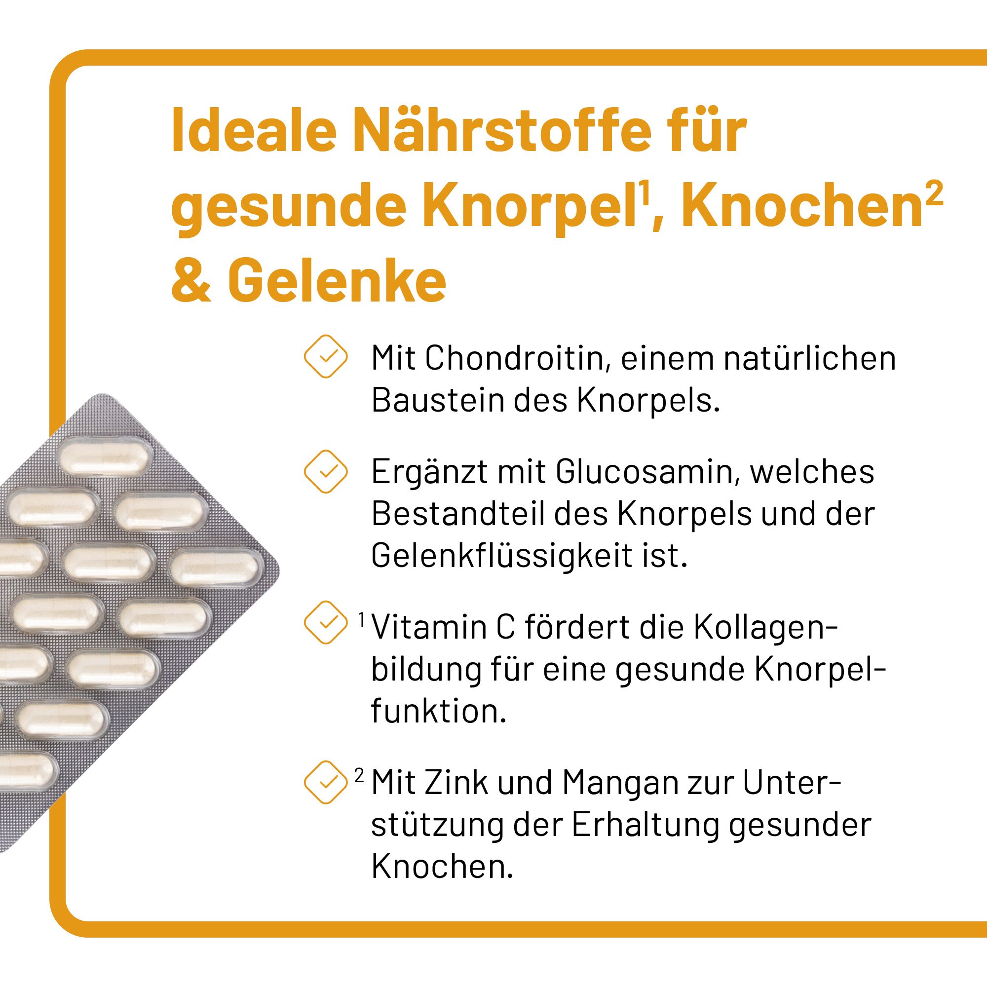 kvp Vitazell®-Arthro gélules