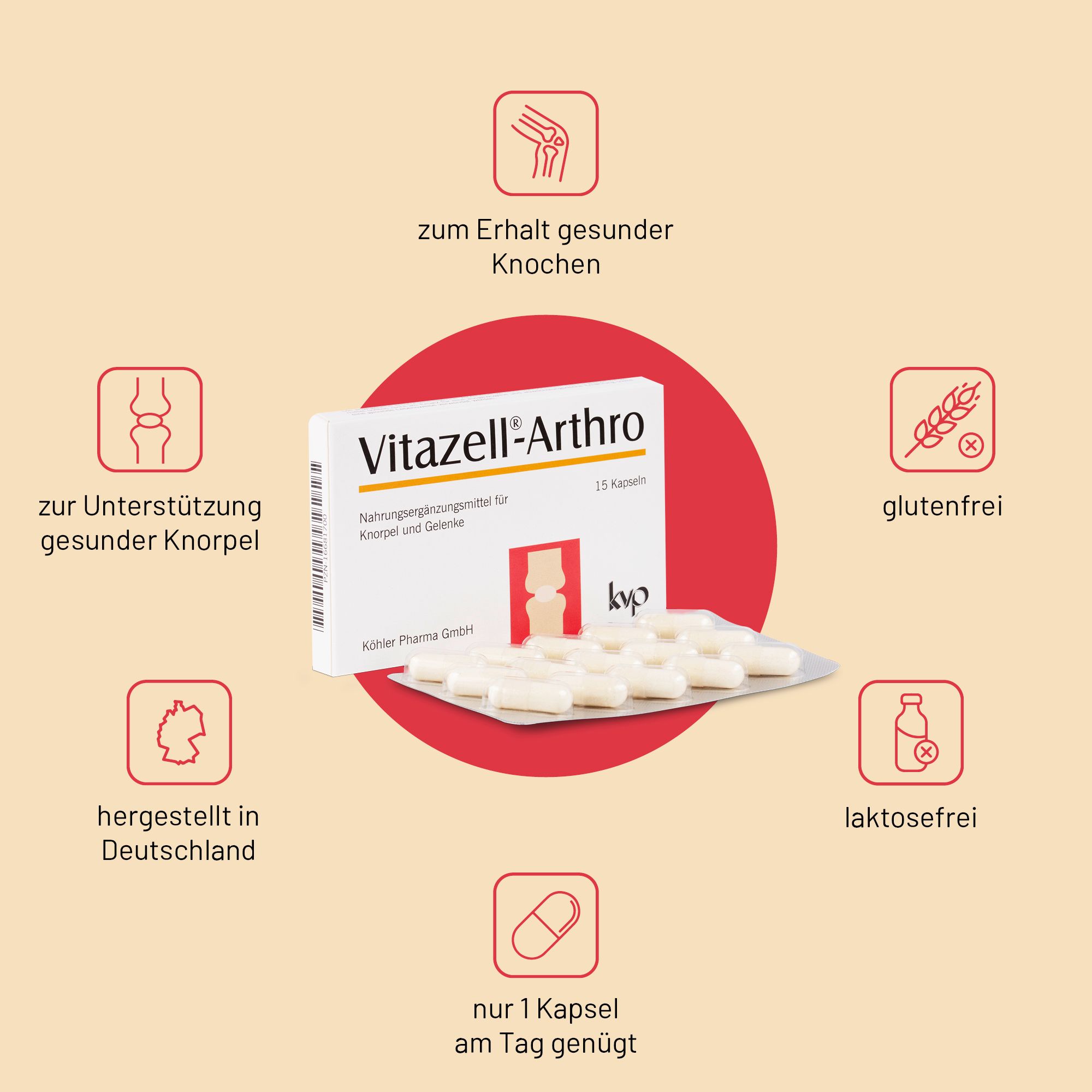 kvp Vitazell®-Arthro gélules