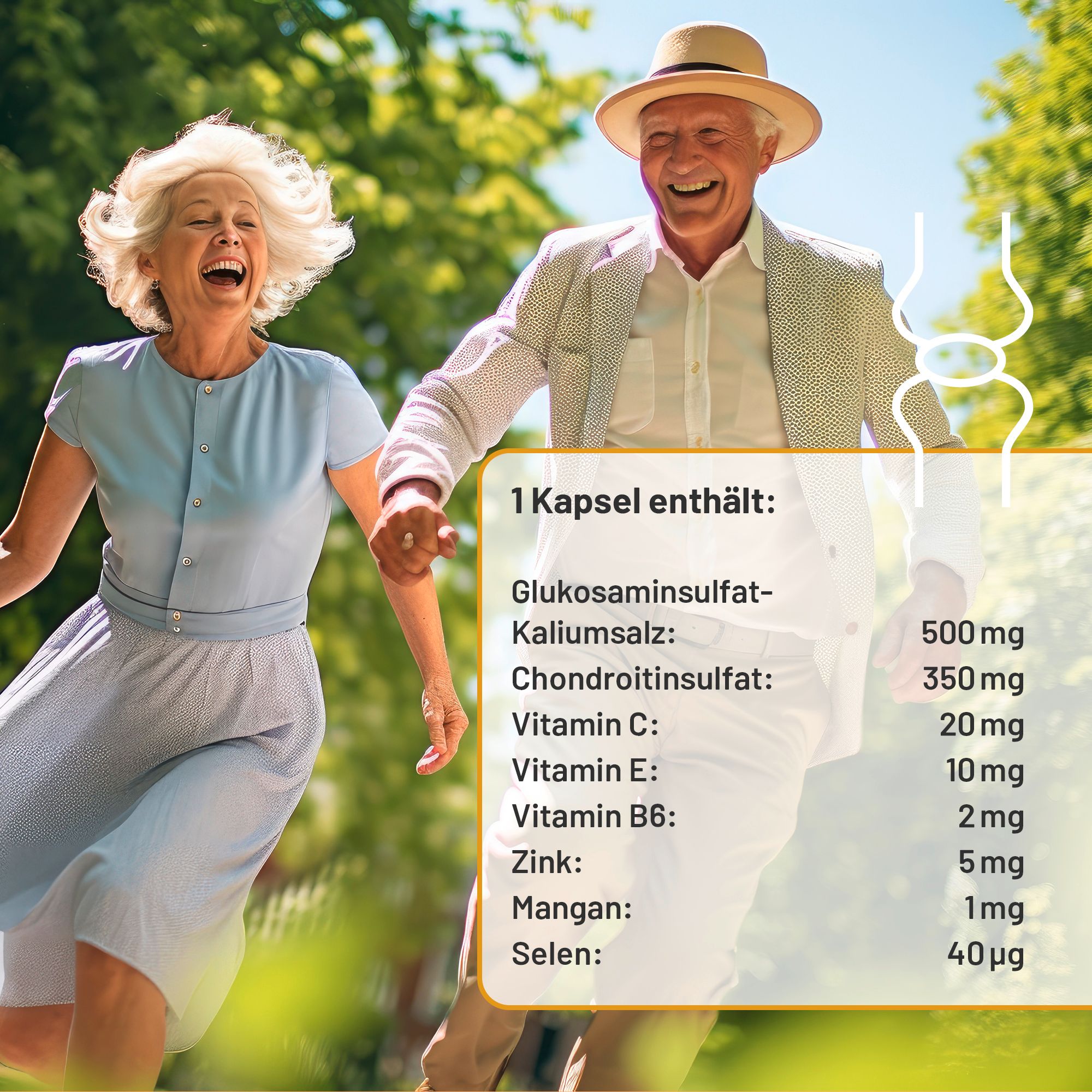 kvp Vitazell®-Arthro gélules