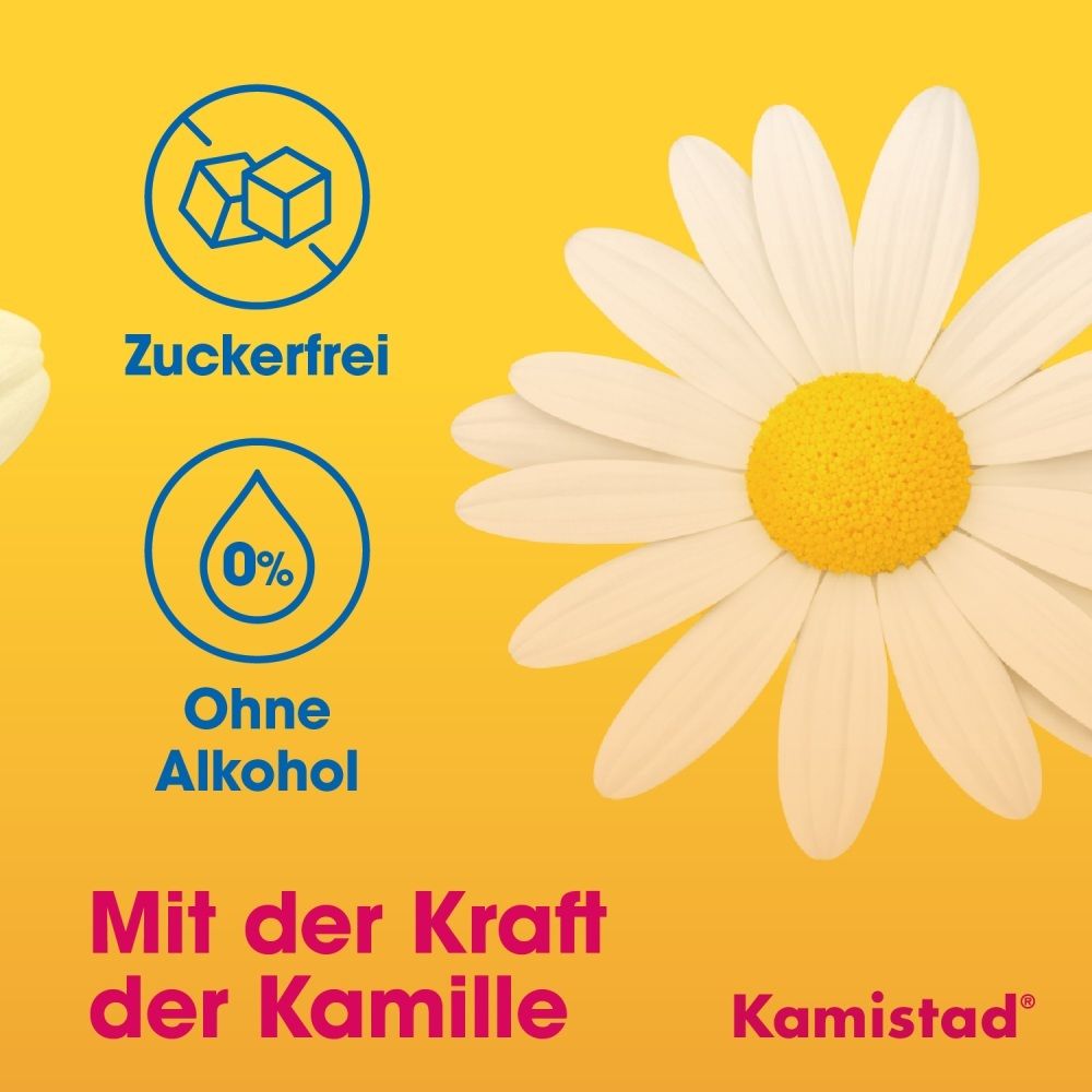 Logo Kamistad, icônes pour 'Sans sucre' et 'Sans alcool', fleur de camomille.