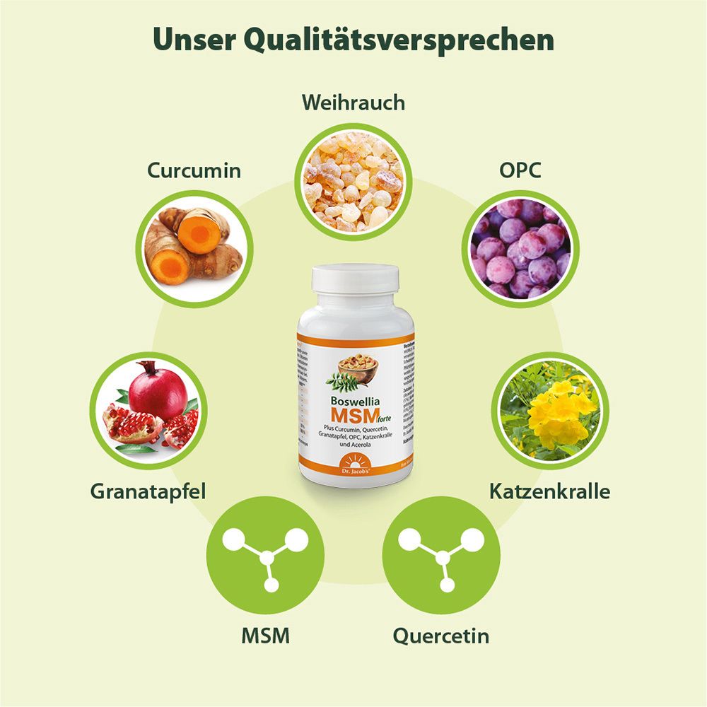 Graphique avec ingrédients et flacon. Ingrédients: encens, curcuma, OPC, grenade, etc.