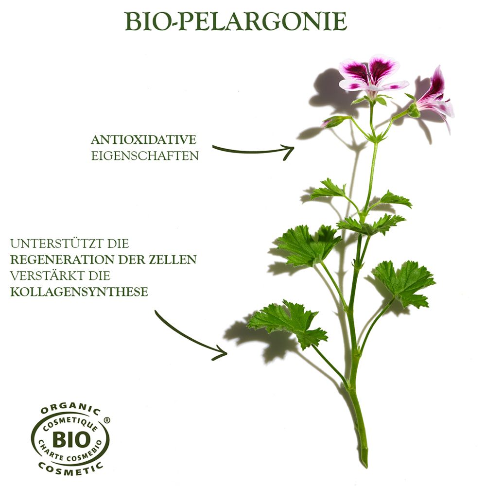 Sanoflore Reinigungsmilch Aciana Botanica
