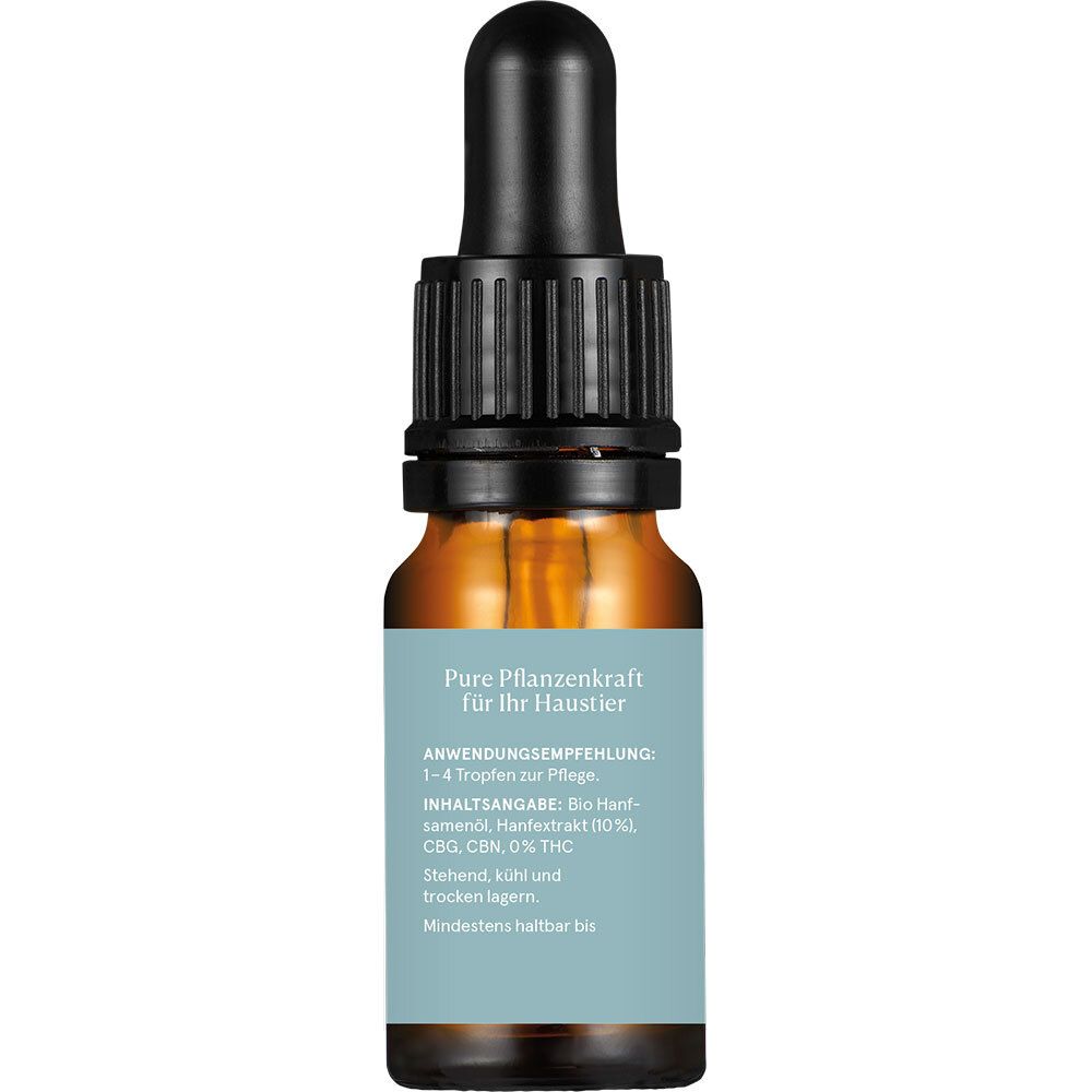 Braune Glasflasche mit schwarzem Tropfer. Aufkleber mit Text und Inhaltsangaben. "CBD Extrakt Premium 10".