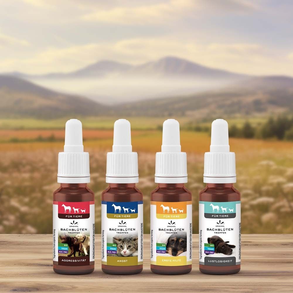 Vier braune Tropfenflaschen. Produktname, Logo. Für Tiere. Verschiedene Farben. Auf Holz. Hintergrund: Landschaft.