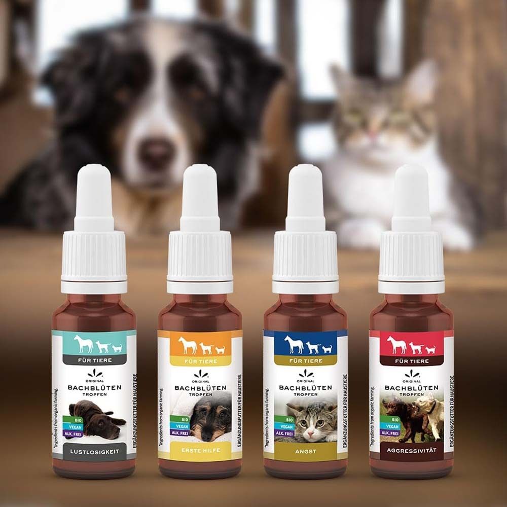 Quatre flacons de Bachblüten Tropfen. Étiquettes : Pour animaux. Différentes couleurs. Bio, Vegan, Sans alcool. Inscription : Anxiété, Agressivité.
