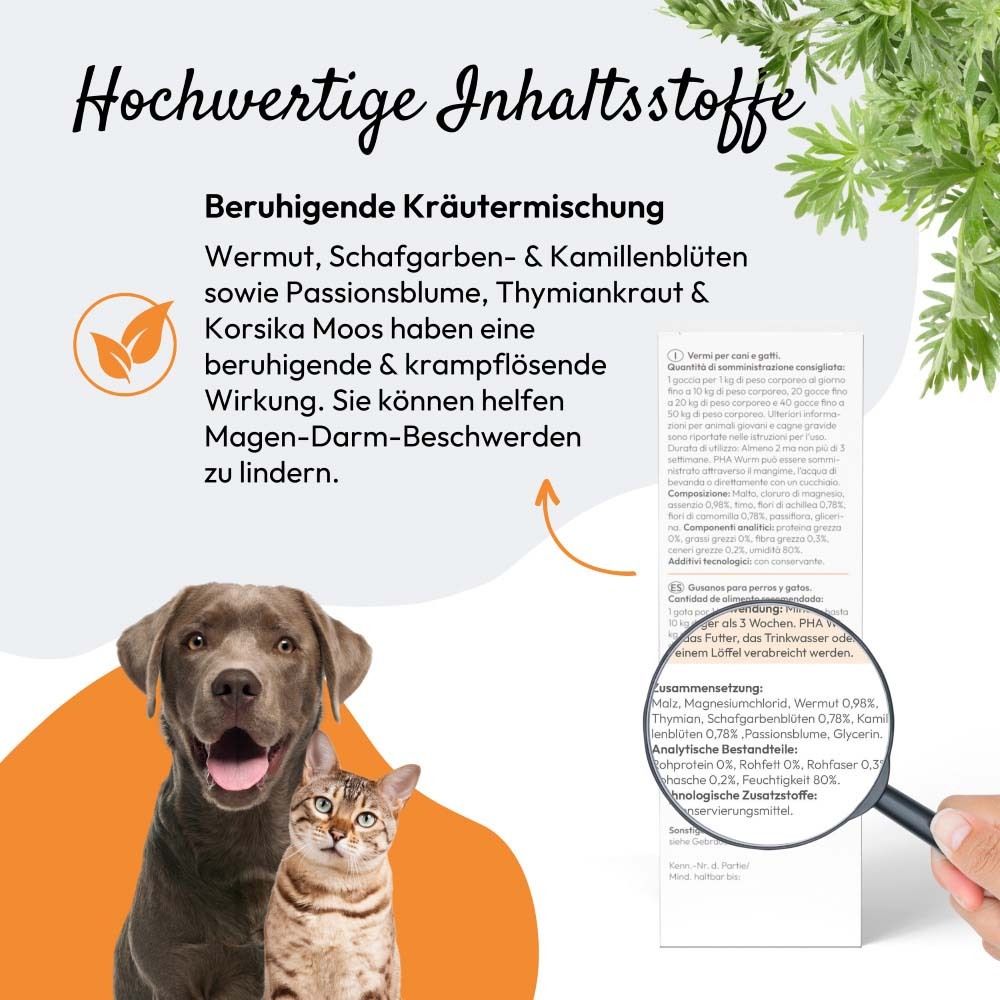 Produktinformationen mit Lupe. Text: Hochwertige Inhaltsstoffe. Abbildung von Hund und Katze. Text: Wurm.