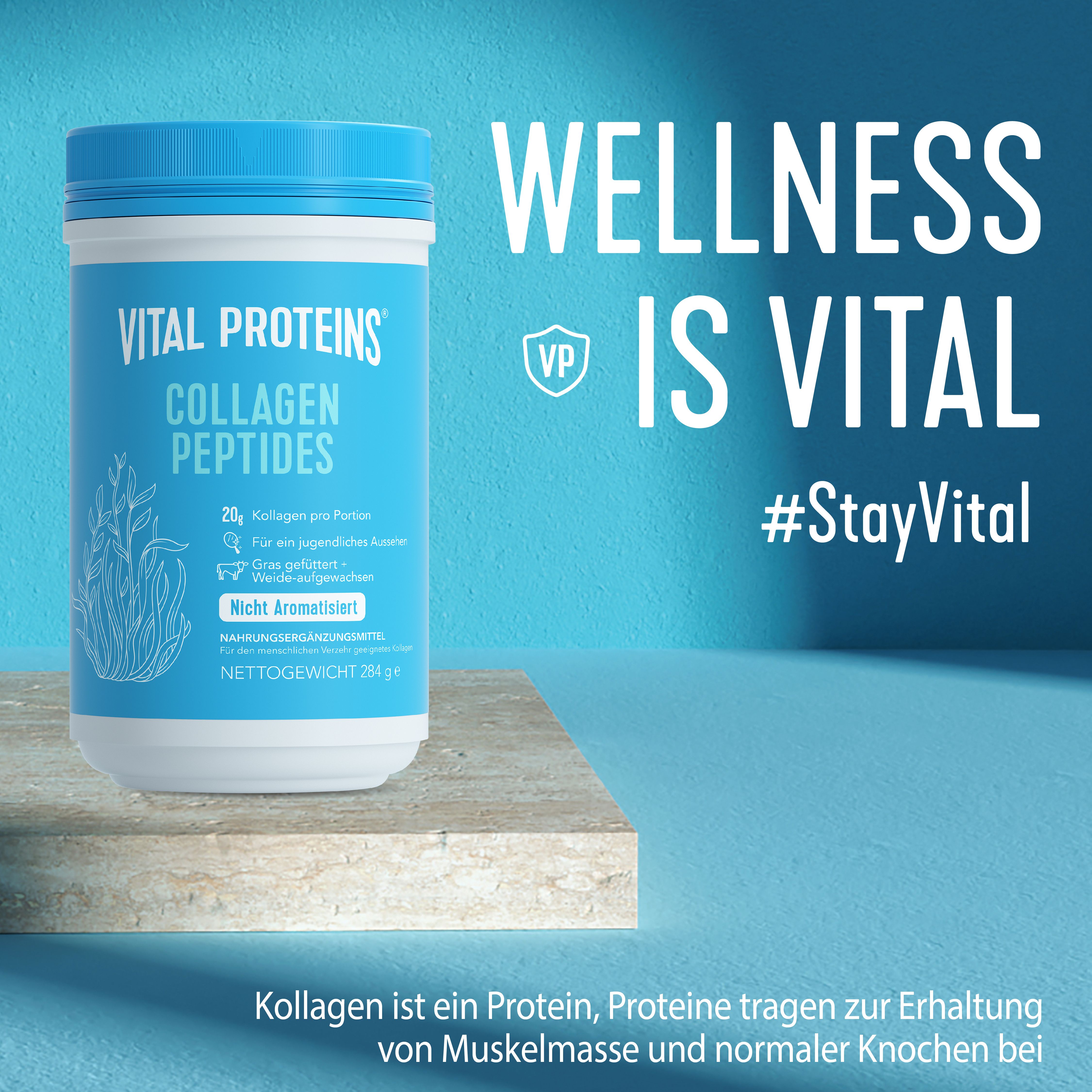 Vital Proteins Collagen Creamer Vanille