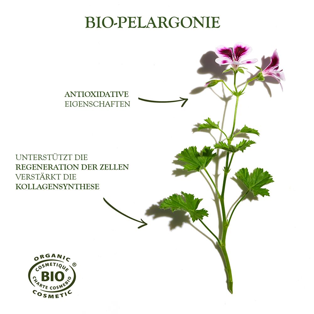 Sanoflore Absolu Merveilleux Sérum anti-rides biologique