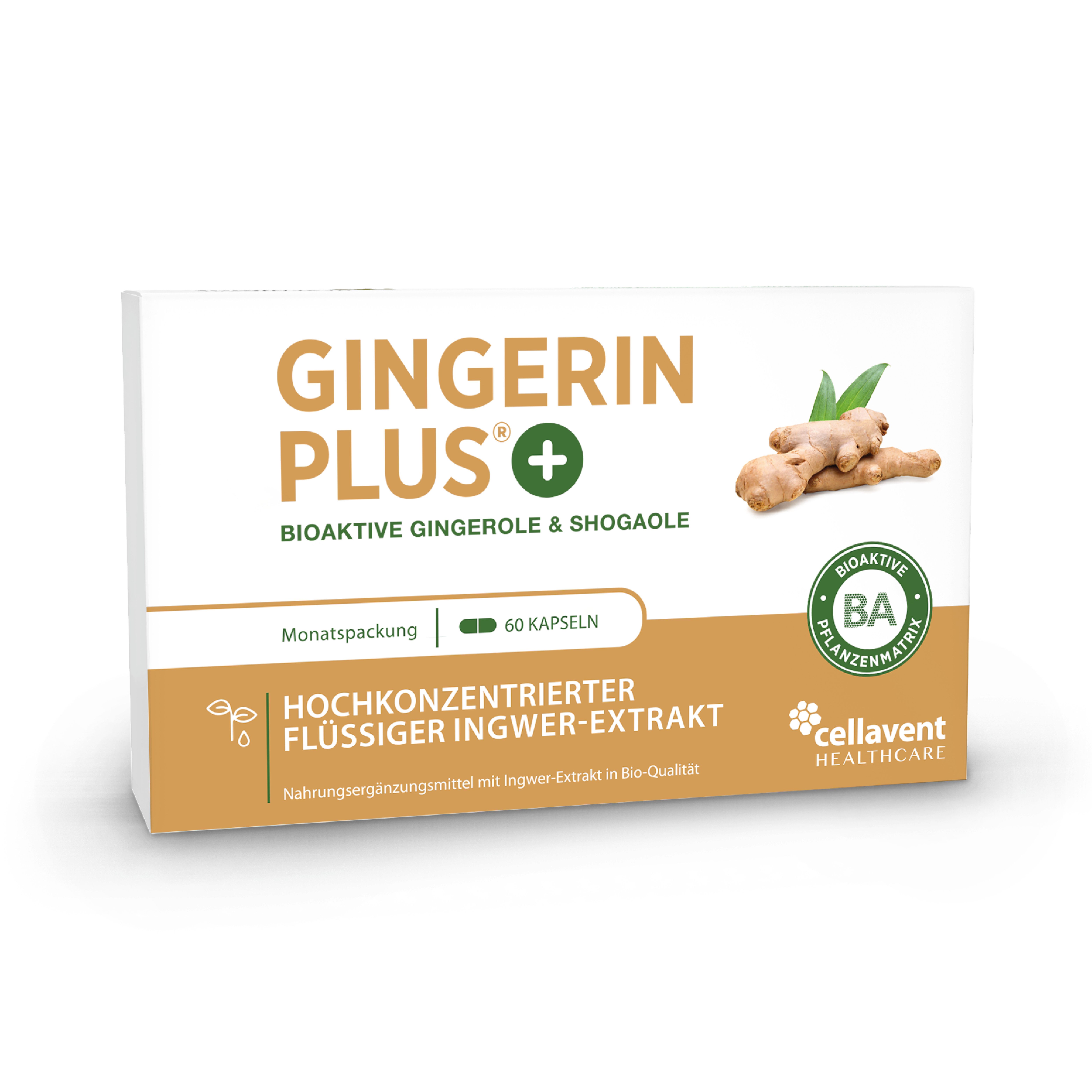 GINGERINE PLUS® Gingembre en gélules