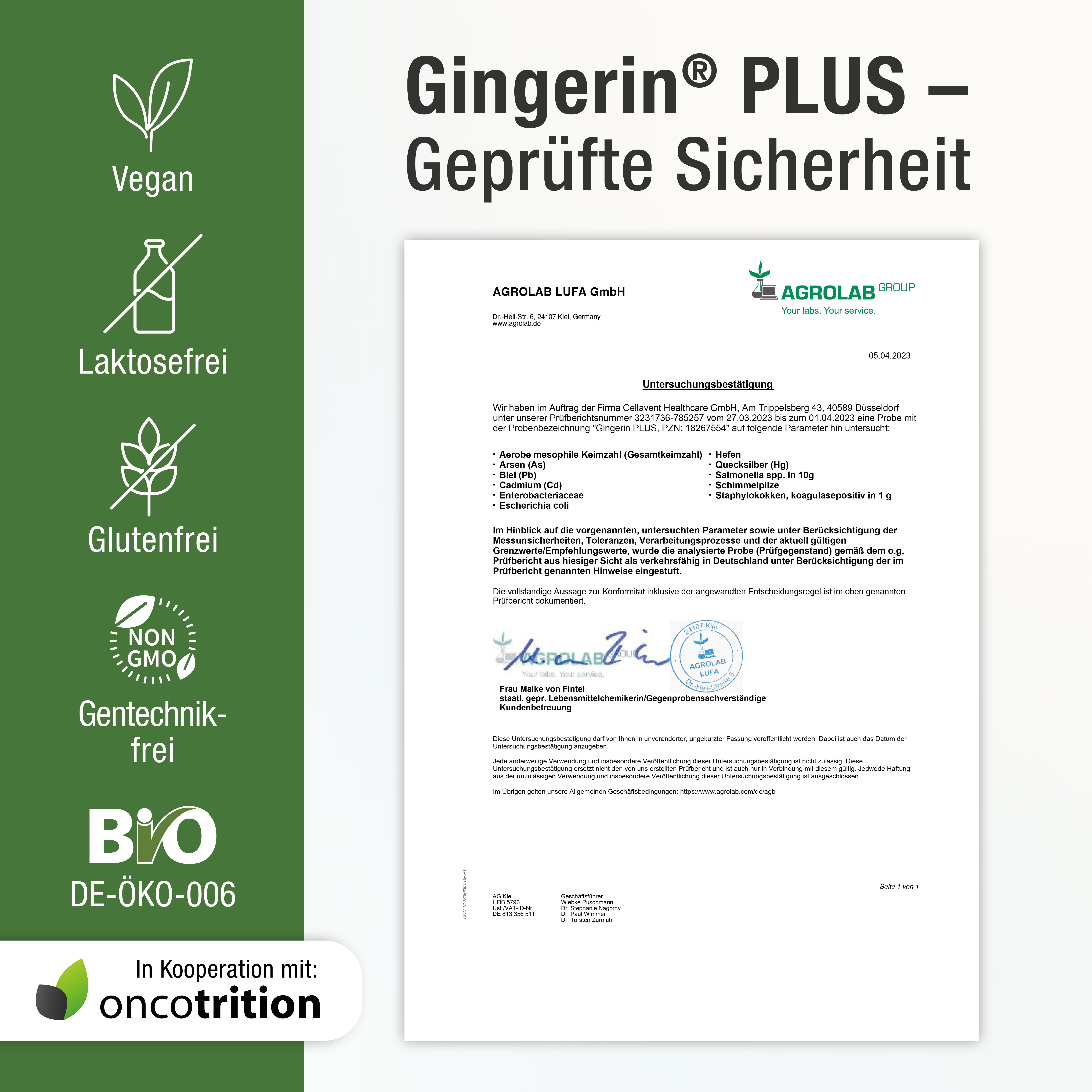 GINGERINE PLUS® Gingembre en gélules