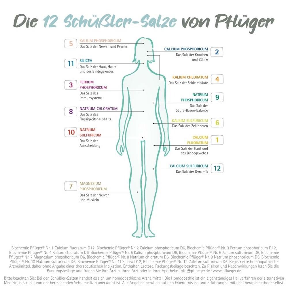 Représentation graphique des 12 sels de Schüssler. Silhouette corporelle avec marquages et noms.