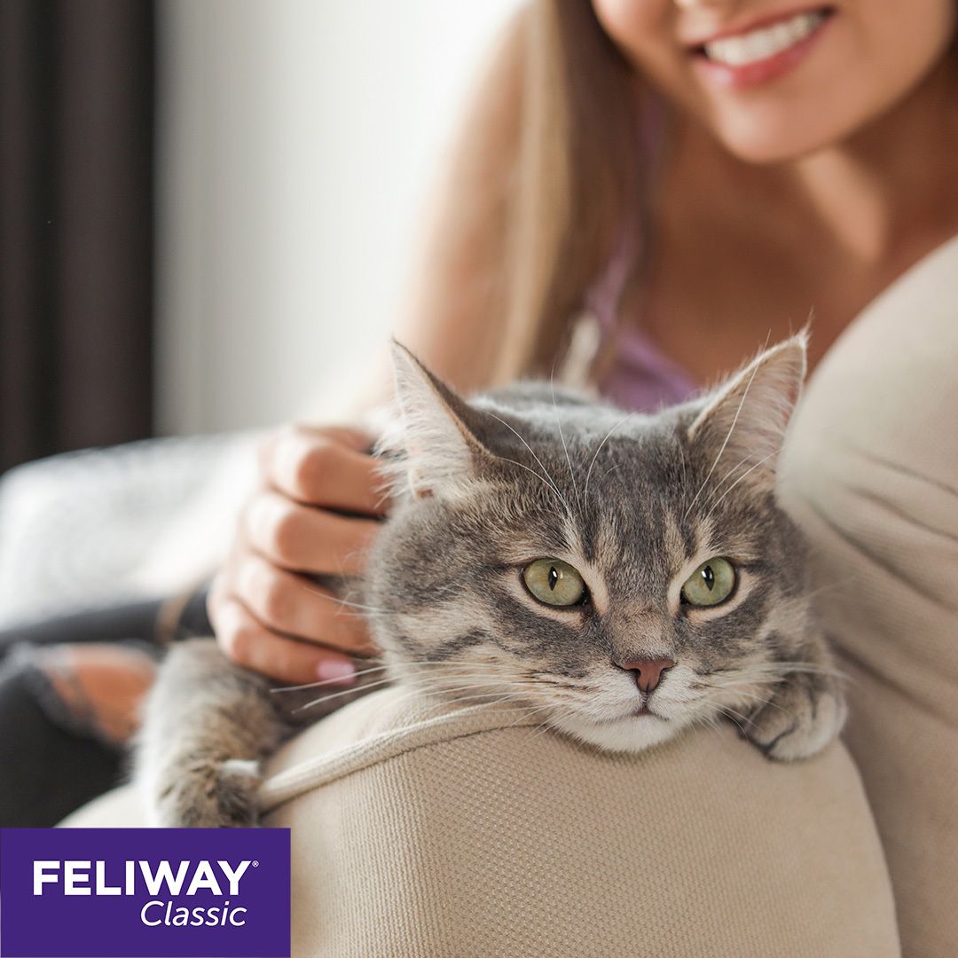 FELIWAY® CLASSIC Nachfüllflakon