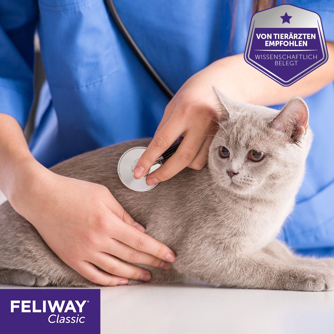 FELIWAY® CLASSIC Nachfüllflakon