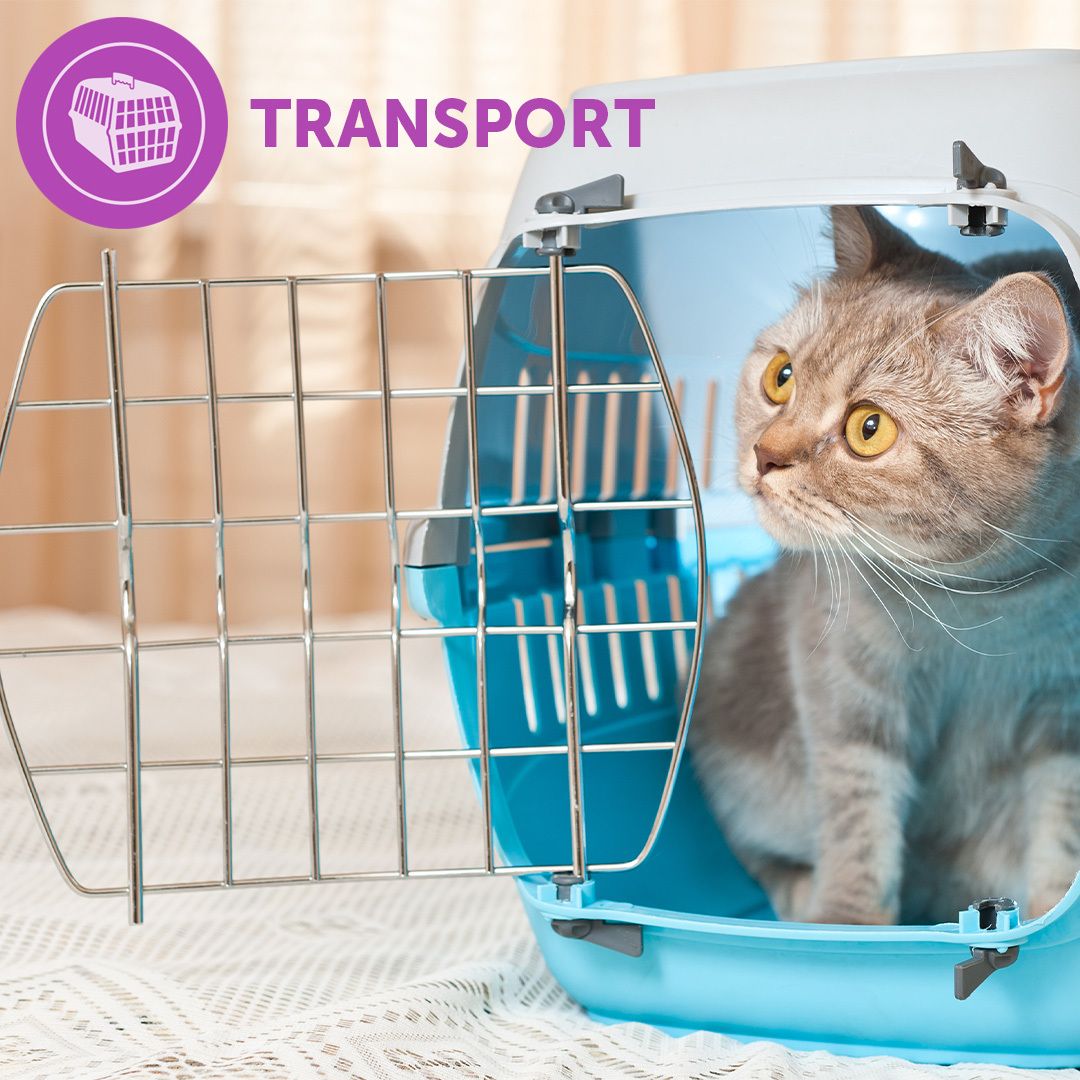 FELIWAY® CLASSIC Transport