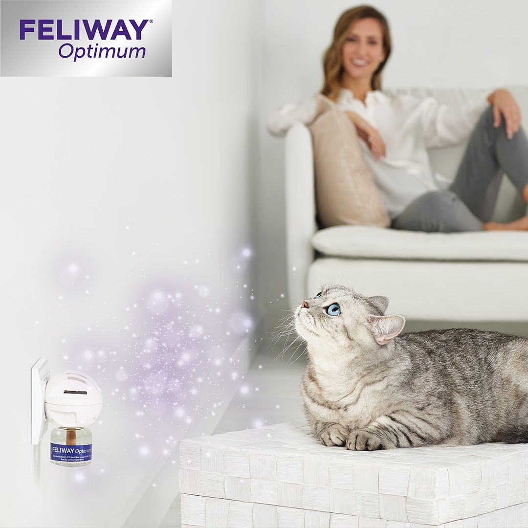 FELIWAY® Optimum 30 jours flacon recharge - pour des chats encore plus équilibrés