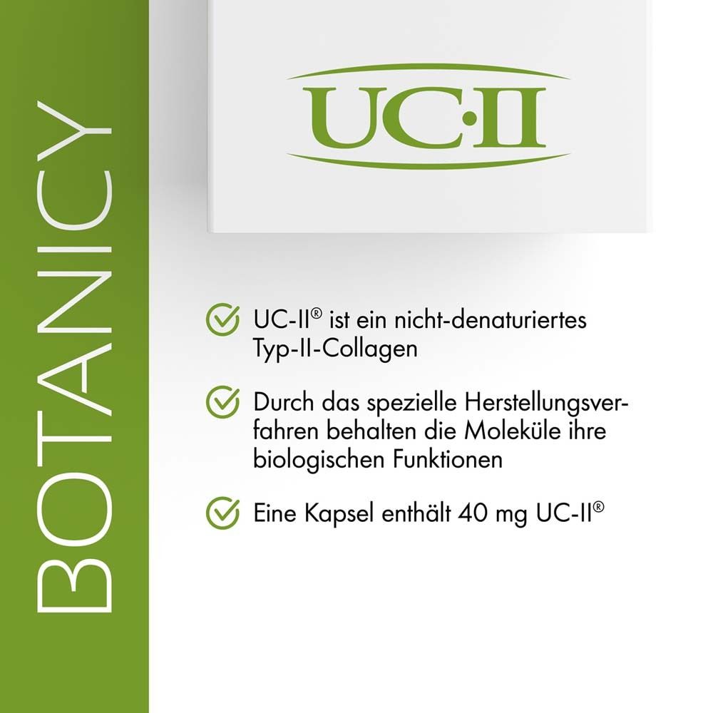 Text: UC-II ist nicht-denaturiertes Typ-II-Kollagen. Eine Kapsel mit 40 mg UC-II pro Tag unterstützt die Gelenkgesundheit.