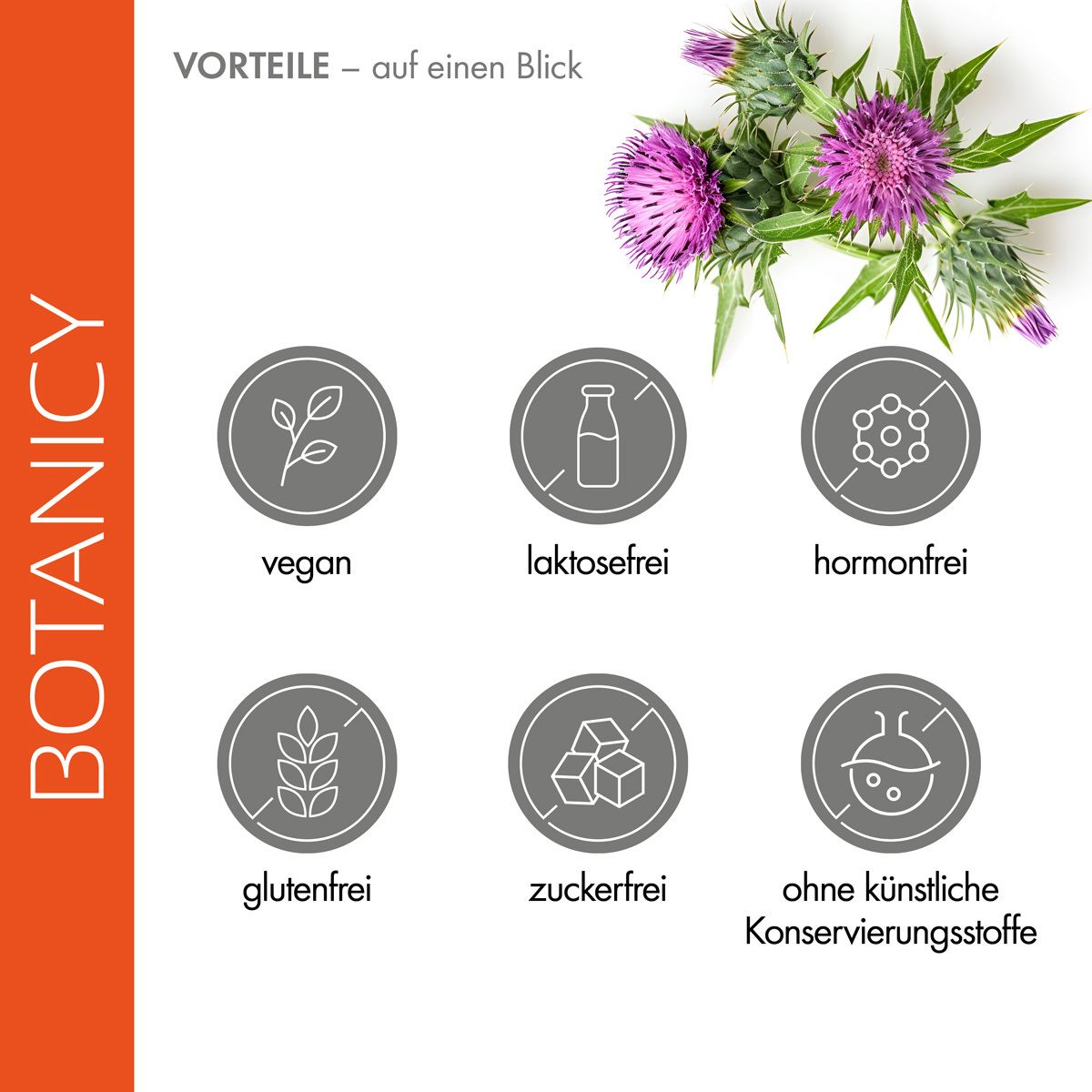 Deux gélules et un verre d'eau. Texte: 2 gélules par jour avec de l'eau. Leber Fit Complex pour 30 portions.