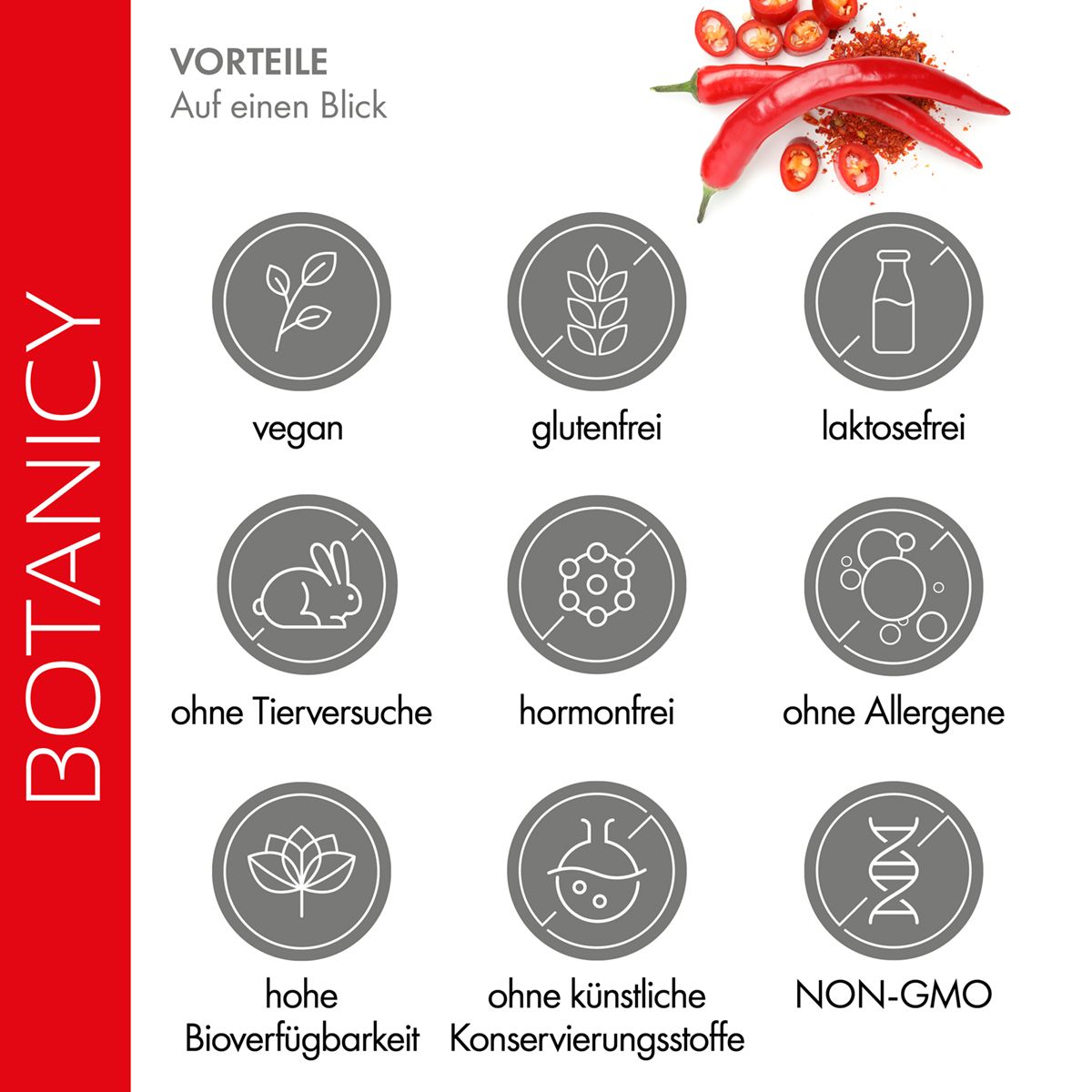 Icônes circulaires avec des informations sur les avantages. Végétalien, sans gluten, sans lactose, sans tests sur les animaux, etc.