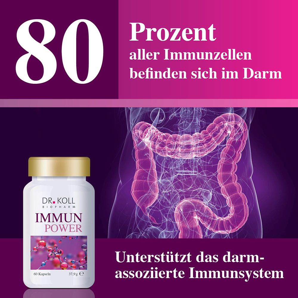Boîte DR. KOLL IMMUN POWER devant une représentation de l'intestin humain.