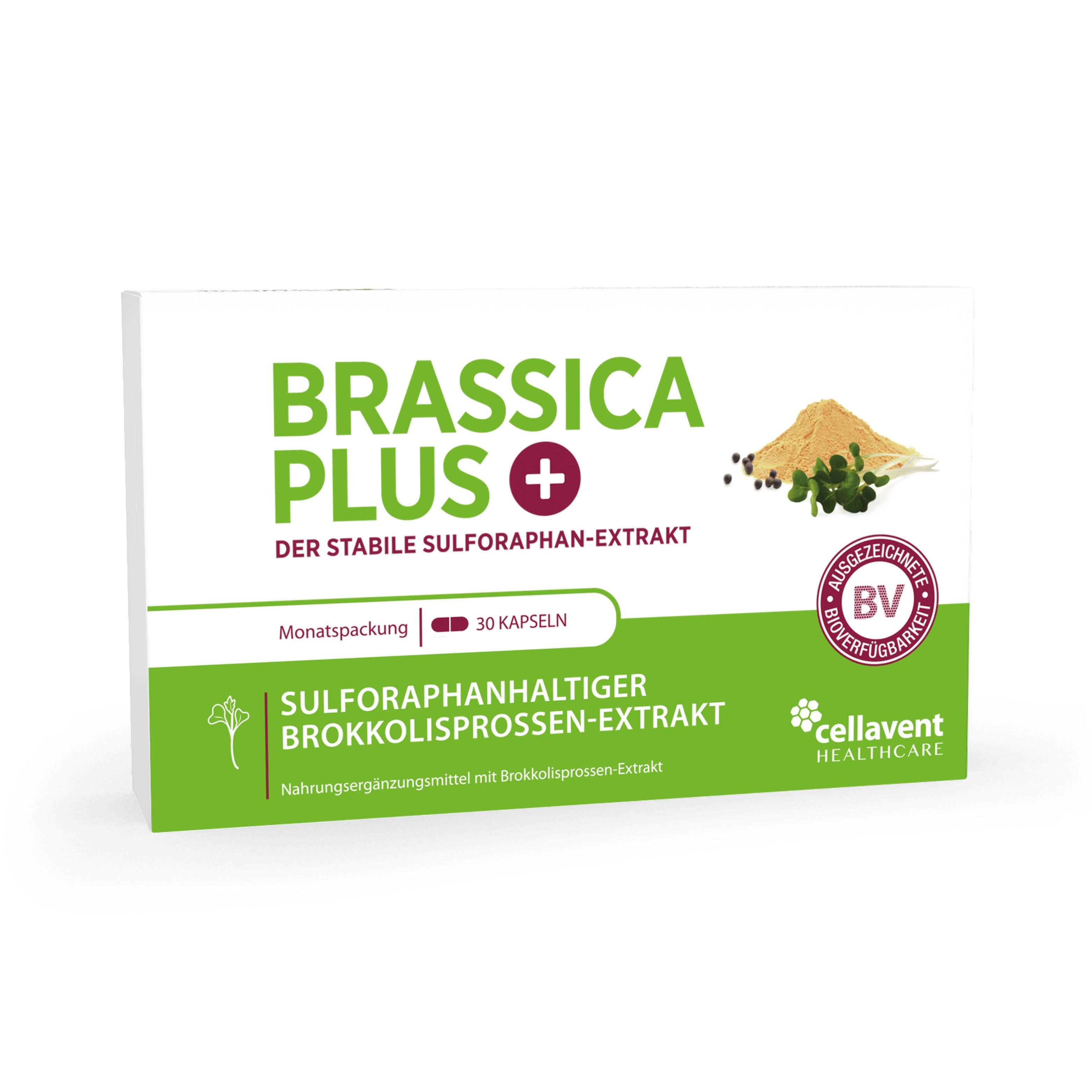 BRASSICA PLUS