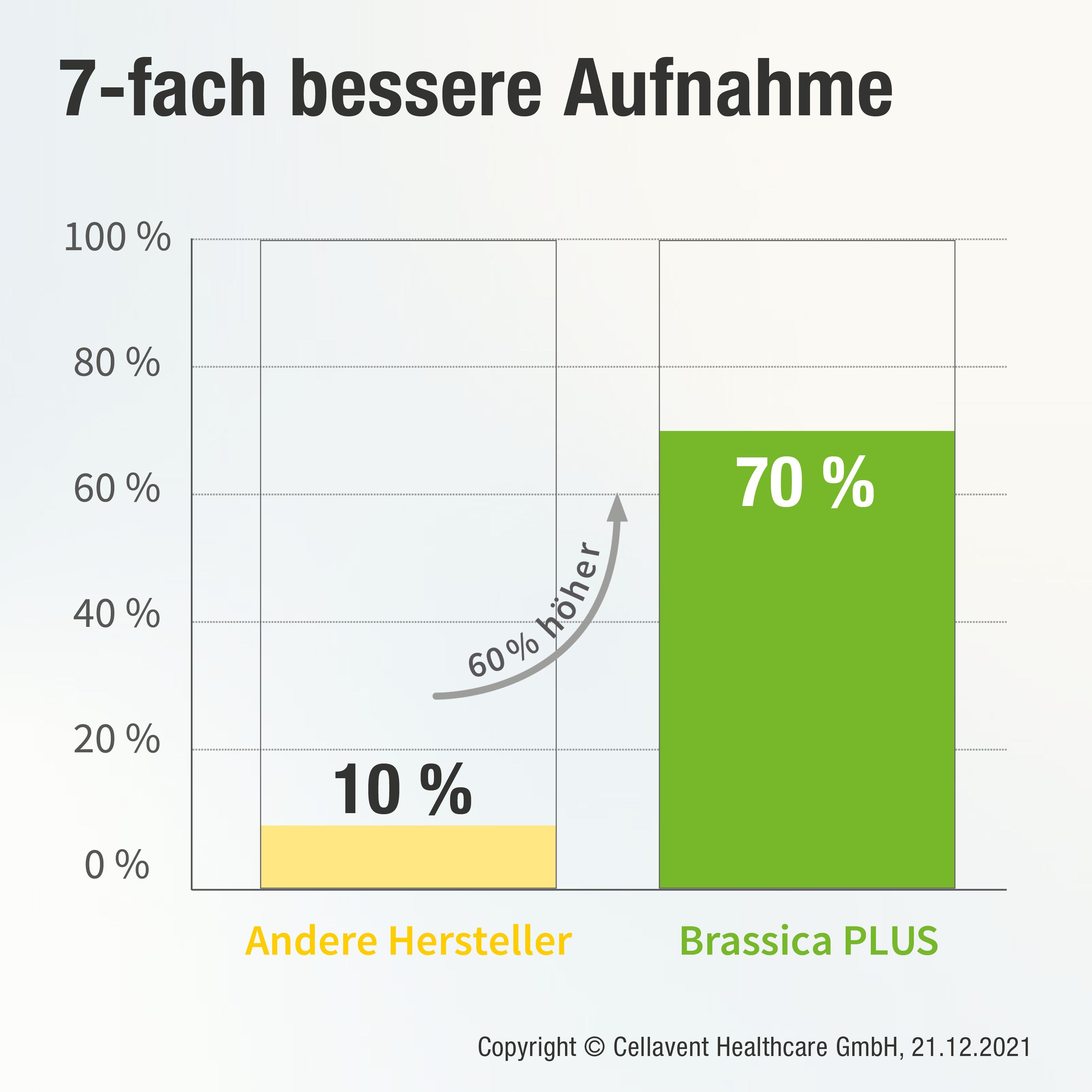 BRASSICA PLUS