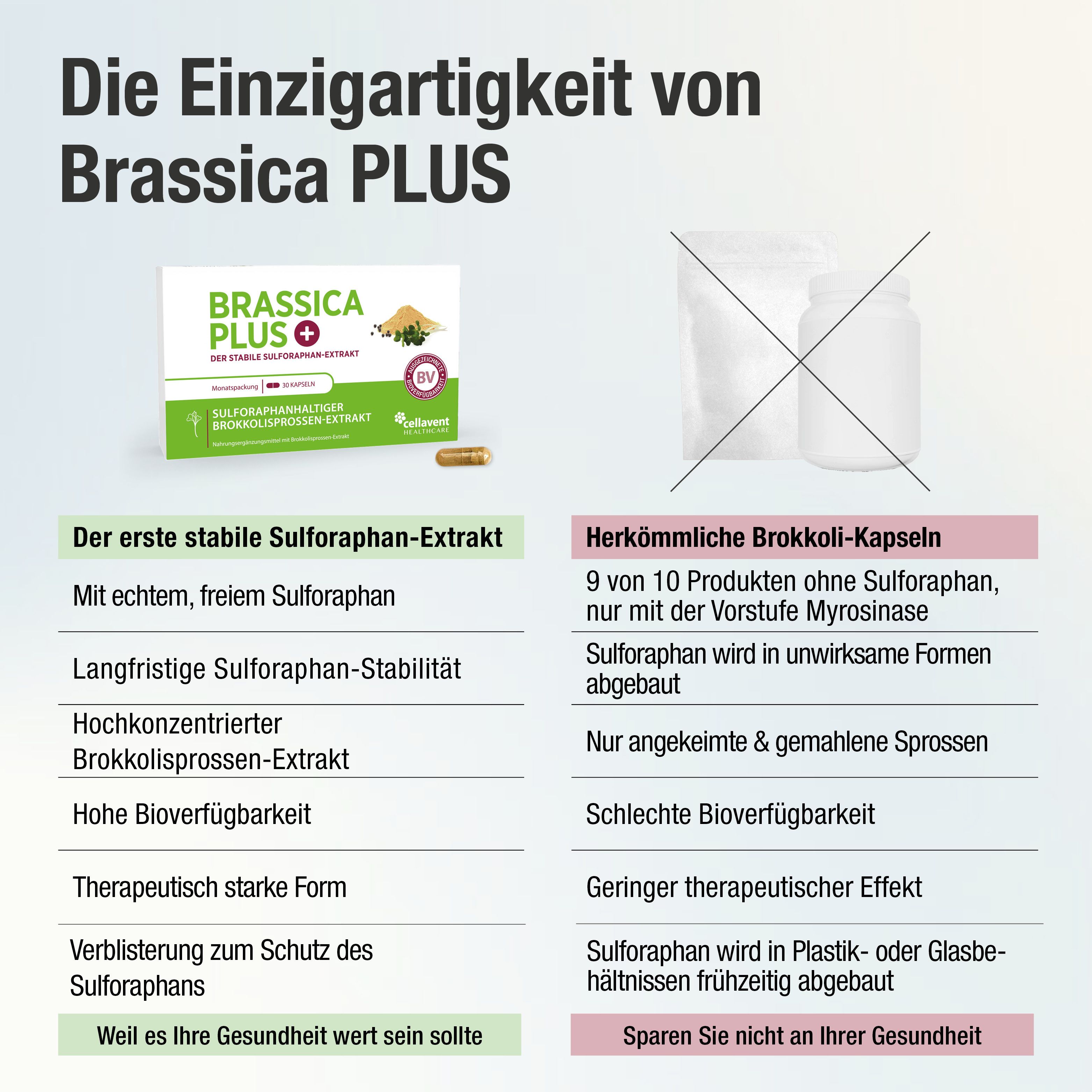 BRASSICA PLUS