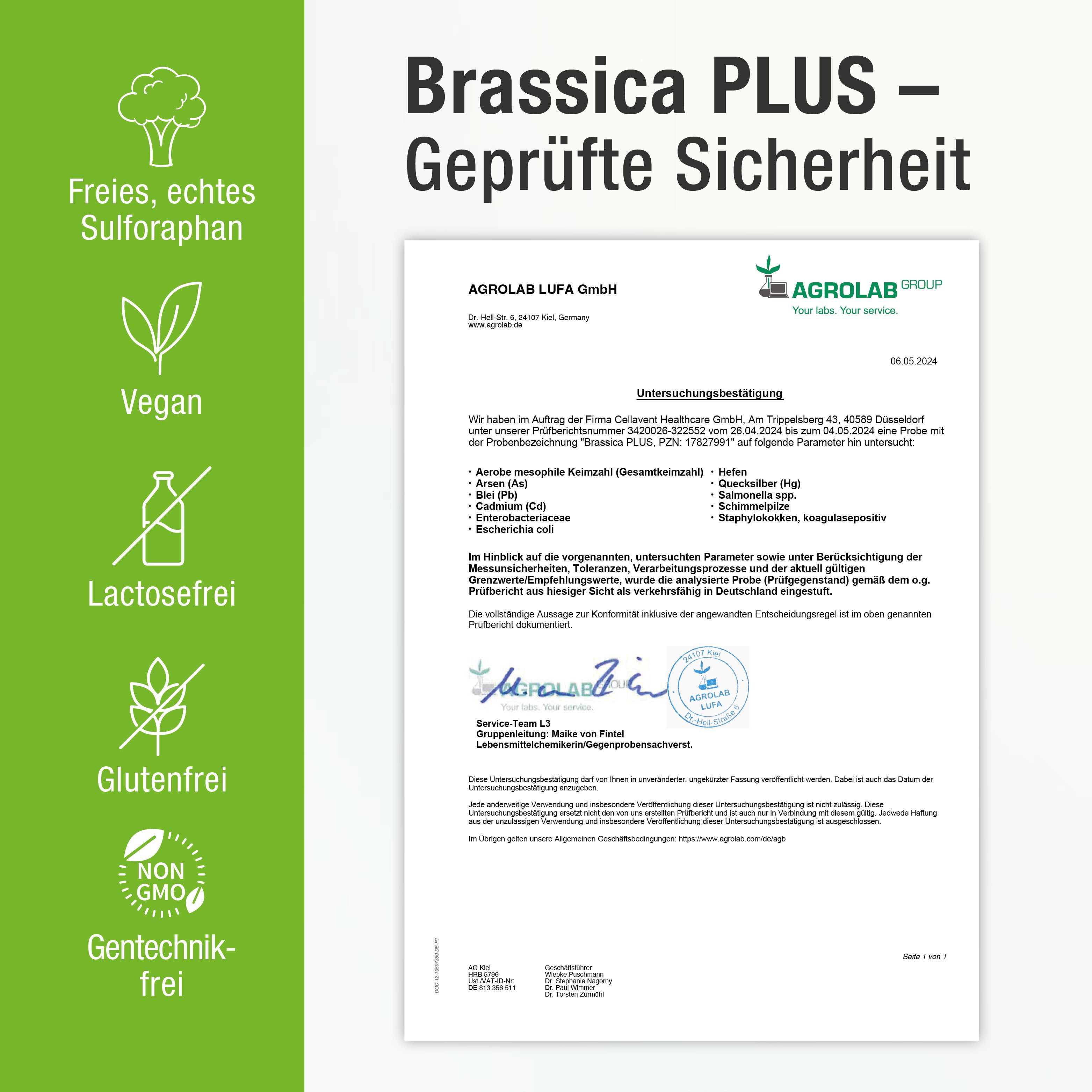 BRASSICA PLUS