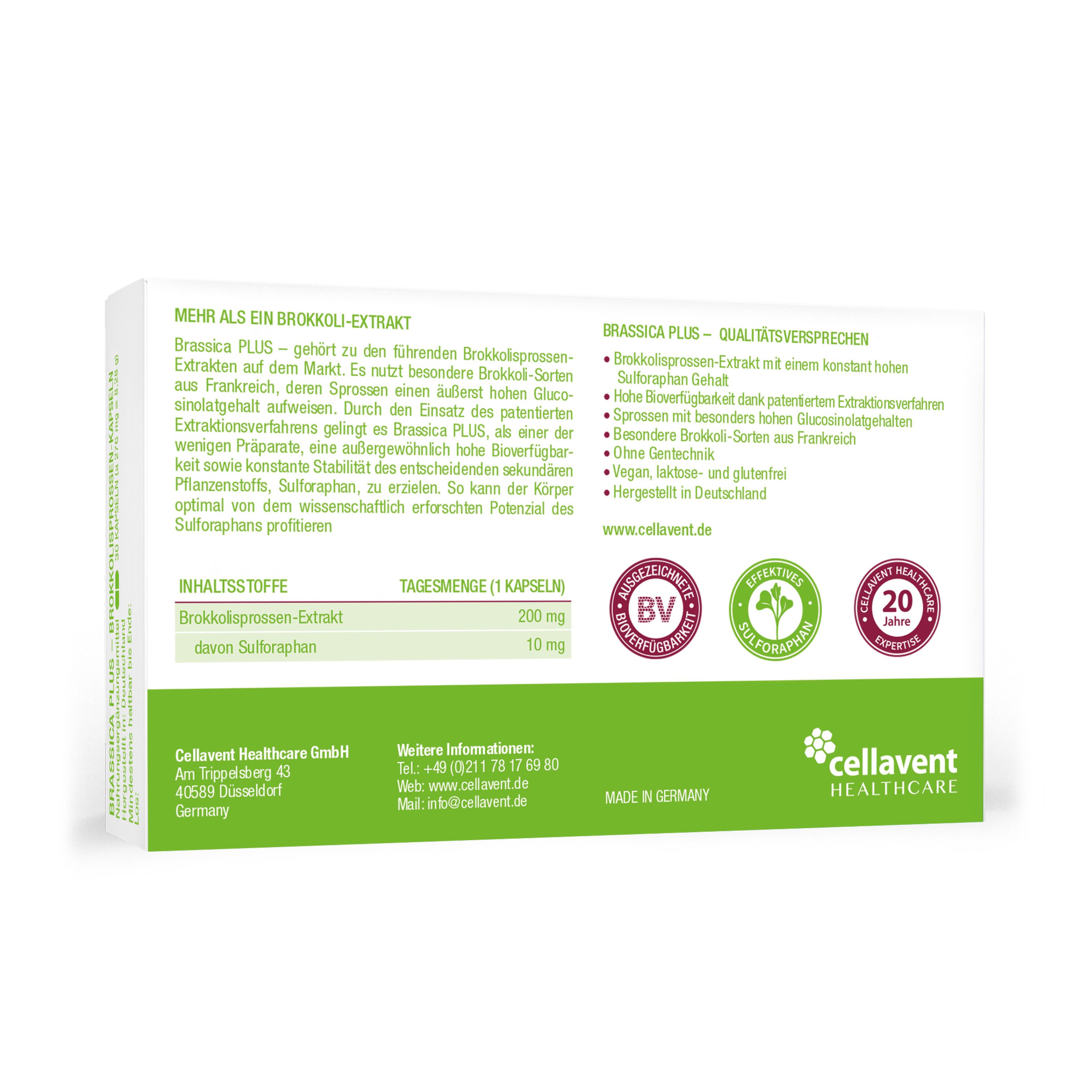 BRASSICA PLUS