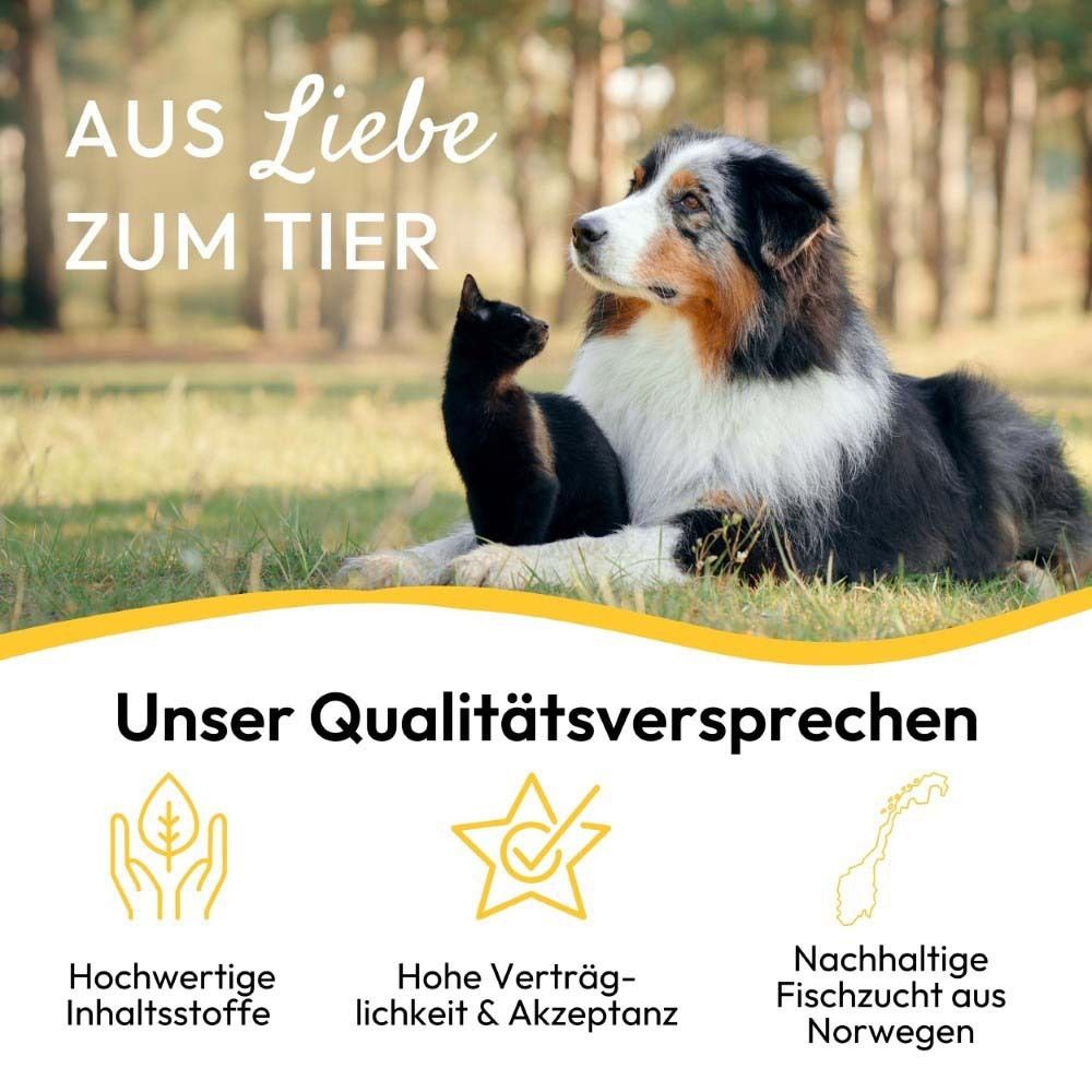 Hund und Katze liegen zusammen. Aufschrift: PHA Petvet Lachsöl. Text: Salmon oil for Dogs, Cats and horses. Hochwertige Inhaltsstoffe. Hohe Verträglichkeit.