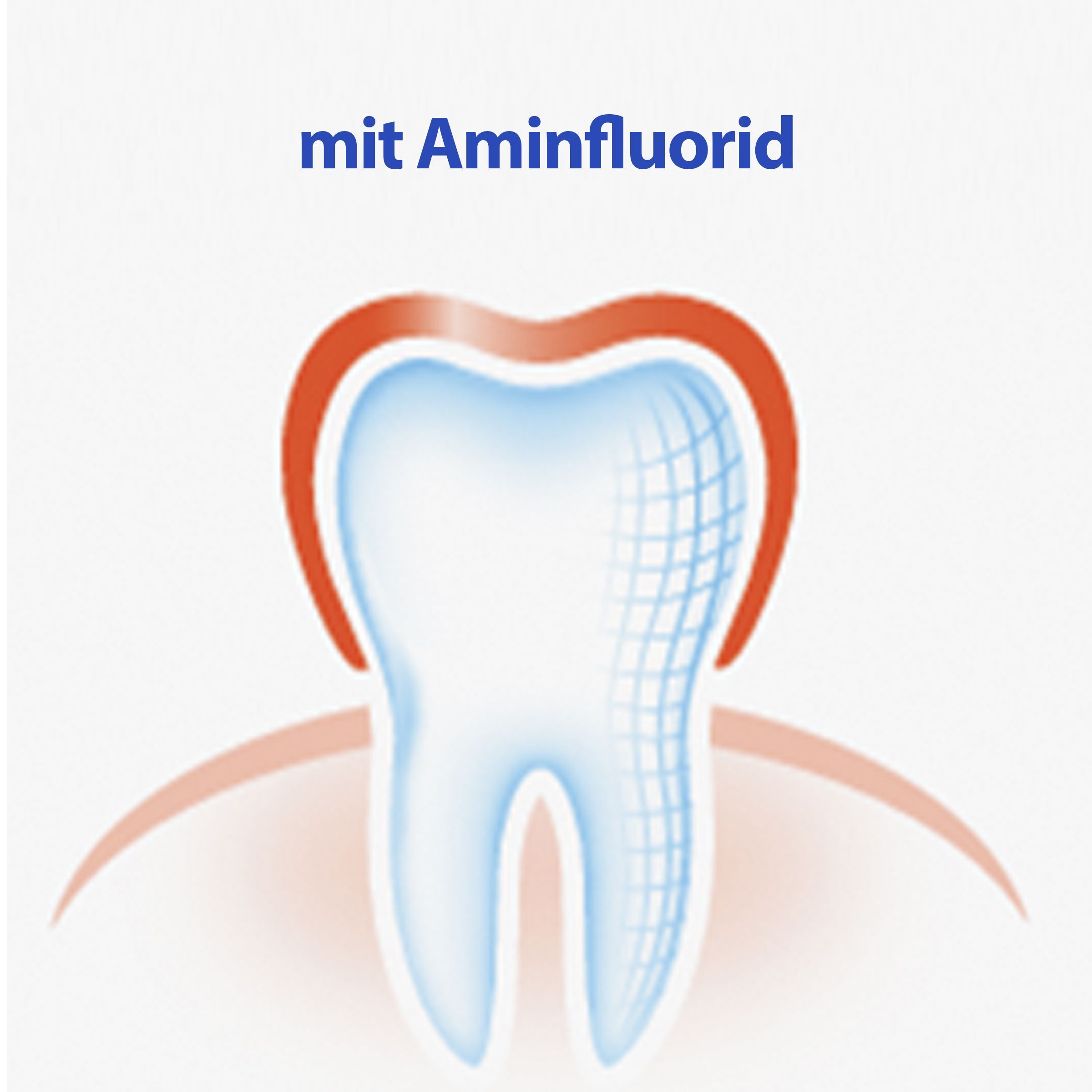 elmex® cure-dents