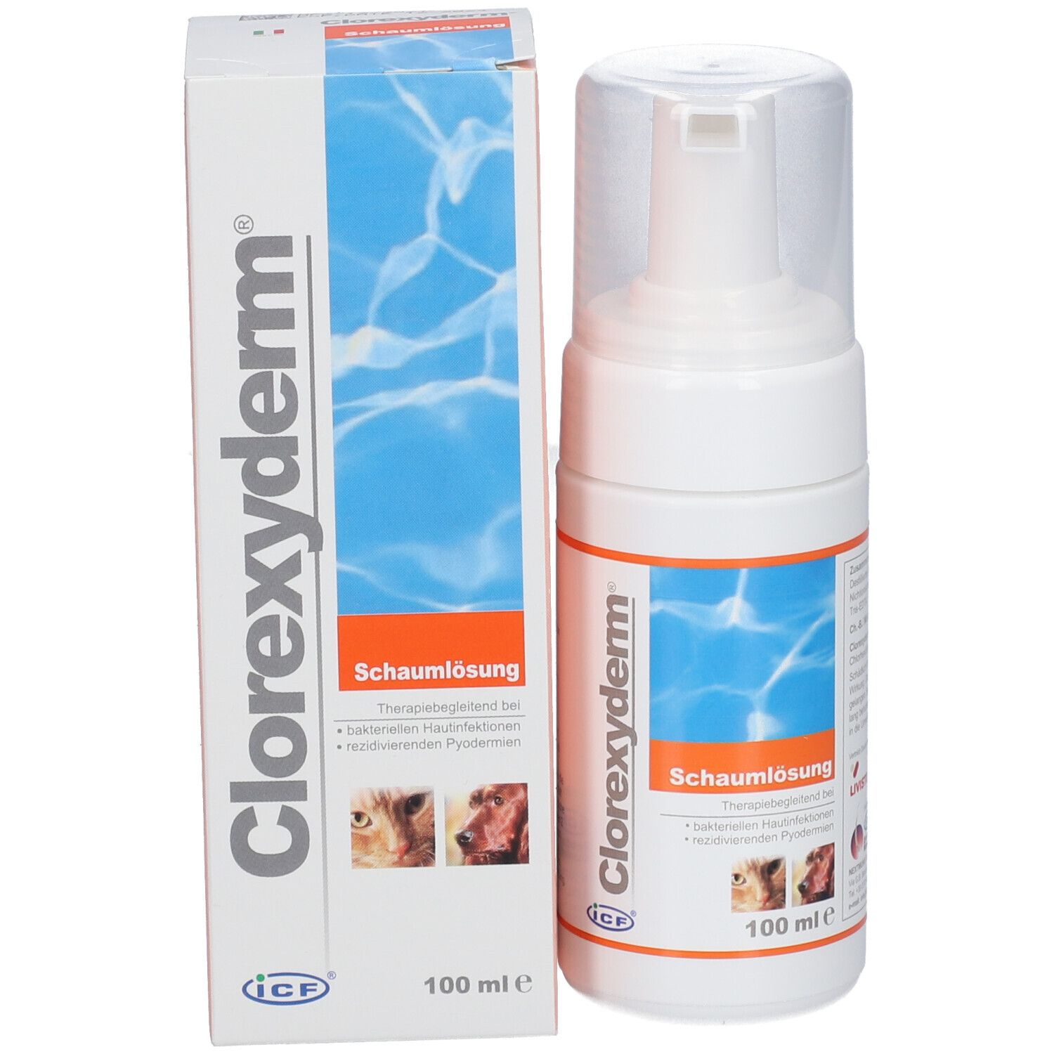 Clorexyderm Schaumlösung Flasche und Verpackung. Weiße Flasche mit Sprühkopf. 100 ml.