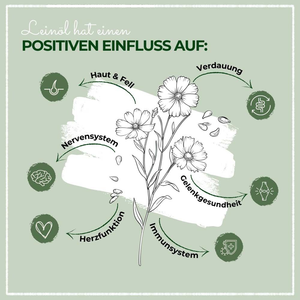 Graphique avec illustrations. Leinöl a un effet positif sur : peau et pelage, digestion, système nerveux, etc.