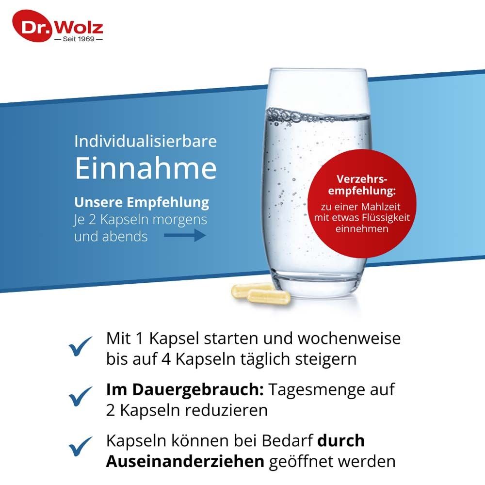 DR.WOLZ Darmflora Plus select complex*