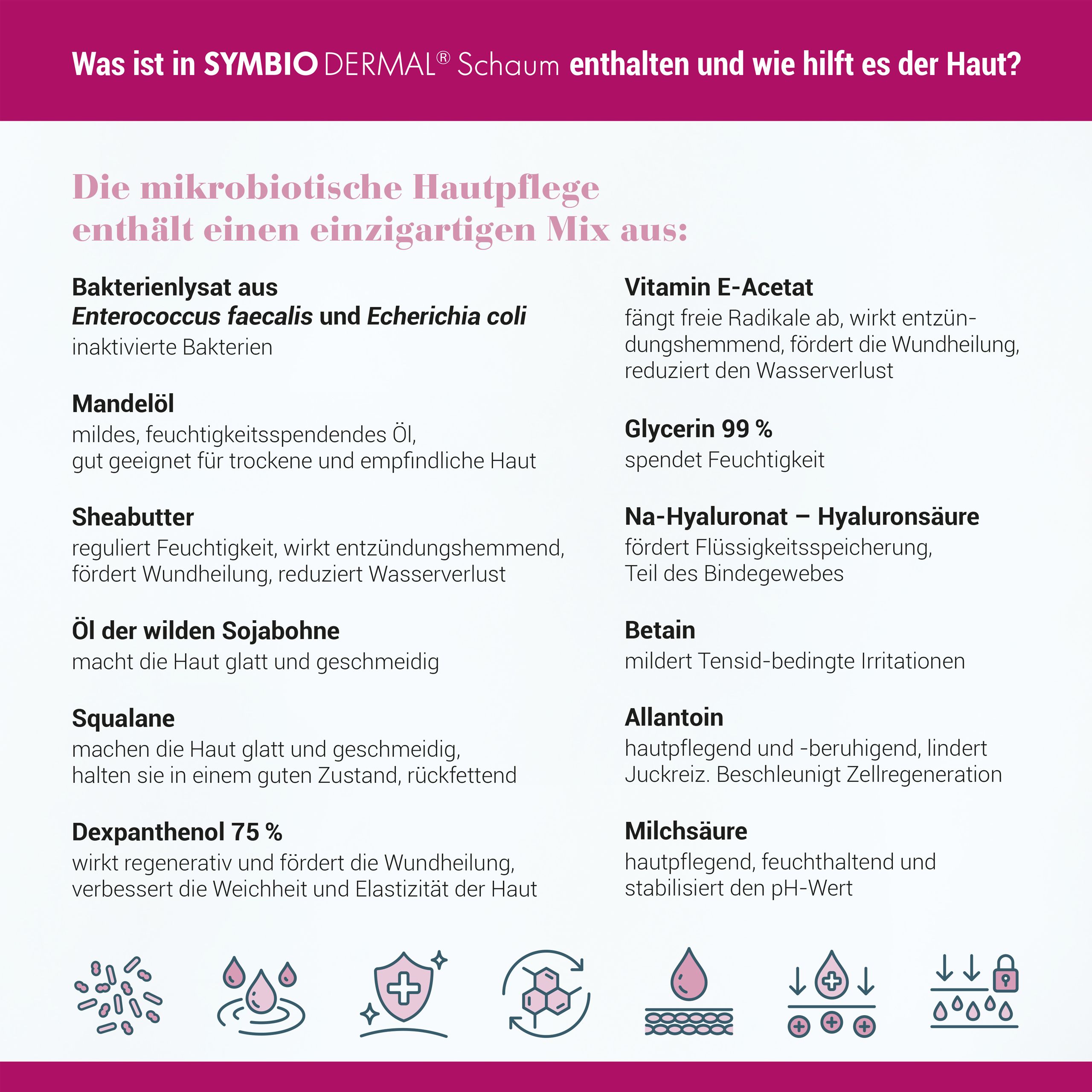 Inhaltsstoffe von SYMBIO DERMAL® Schaum: Vitamin E, Glycerin, Hyaluronsäure, Sheabutter, etc.