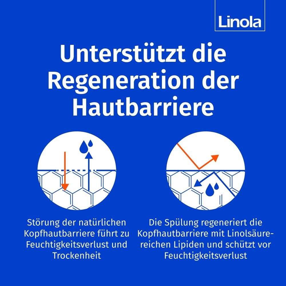 Grafik: Hautzellen mit Pfeilen. Text: Unterstützt die Regeneration der Hautbarriere. Feuchtigkeitsverlust.