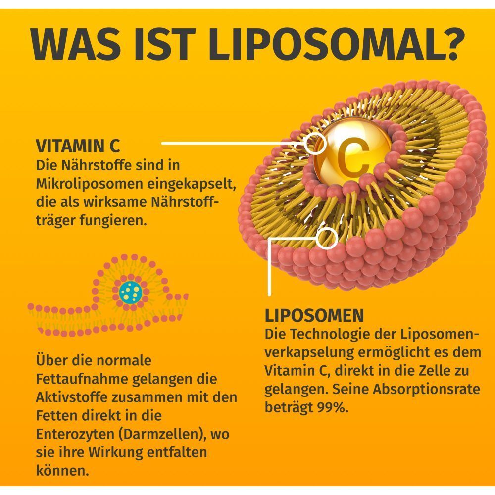 GREEN NATURALS Liposomales Vitamin C 325 mg zur Unterstützung des Immunsystems