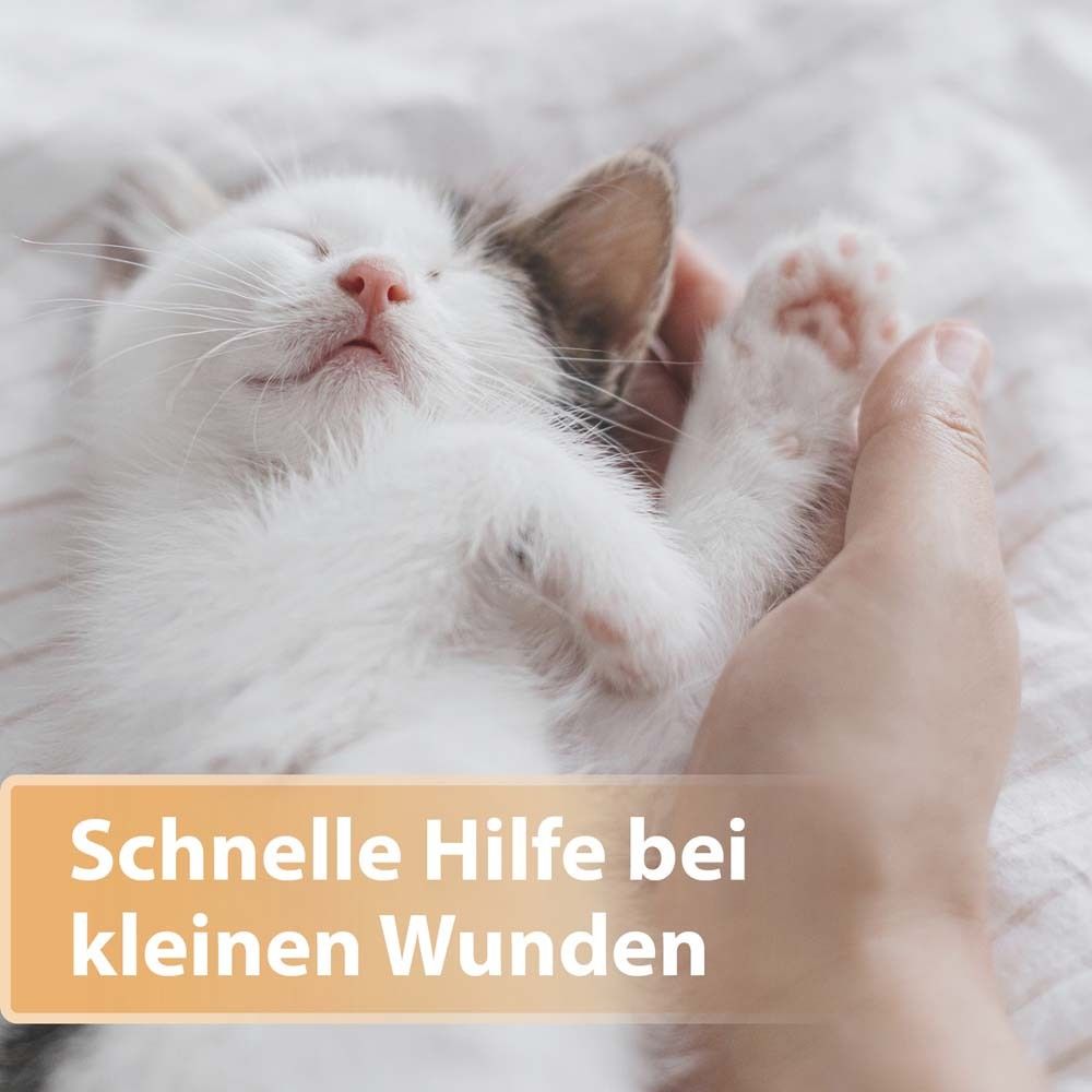 Kätzchen liegt auf dem Rücken, wird gehalten. Text: Schnelle Hilfe bei kleinen Wunden.