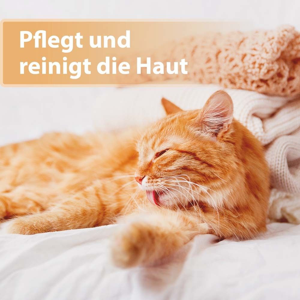 Katze putzt sich auf Decke. Text: Pflegt und reinigt die Haut.