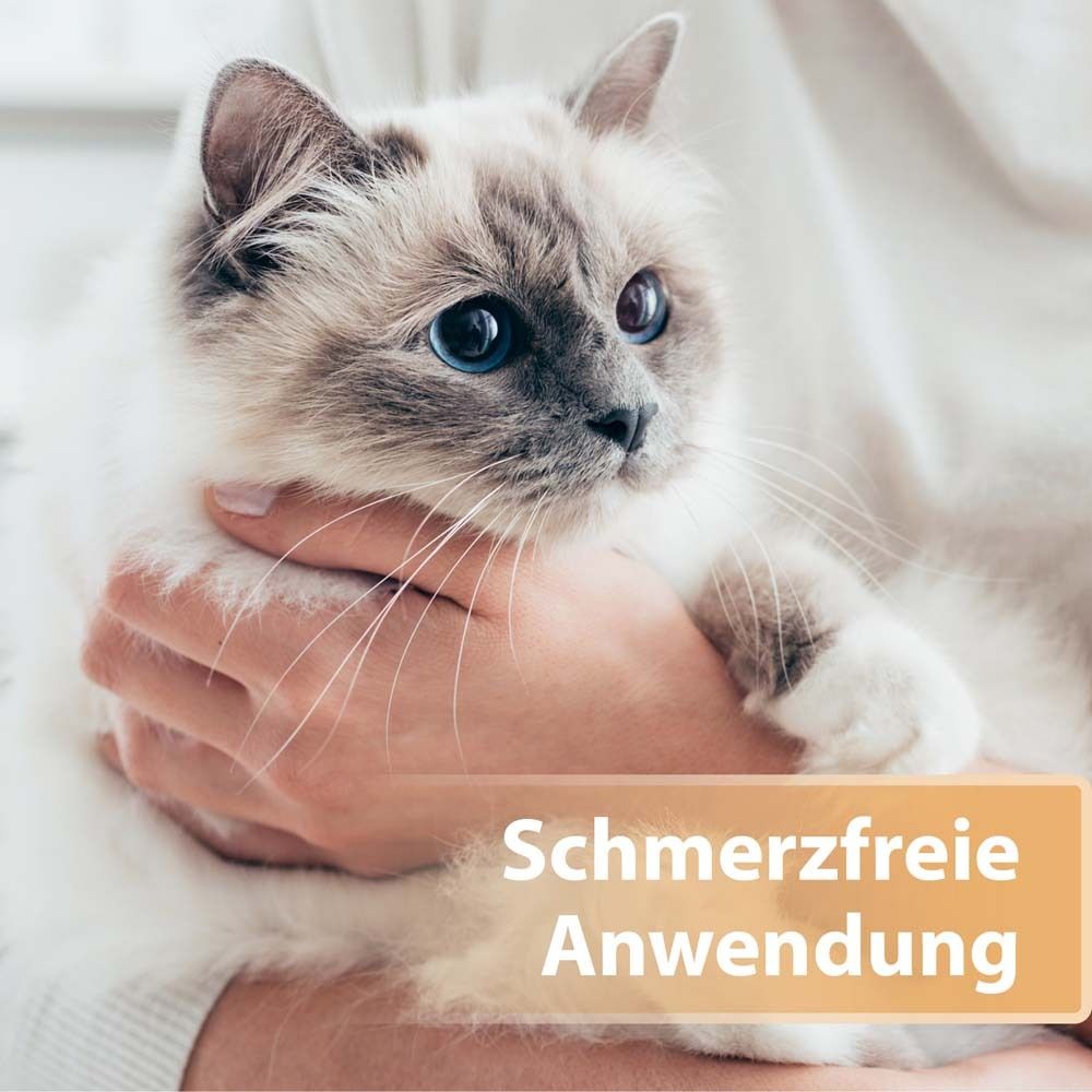 Katze wird gehalten. Text: Schmerzfreie Anwendung.