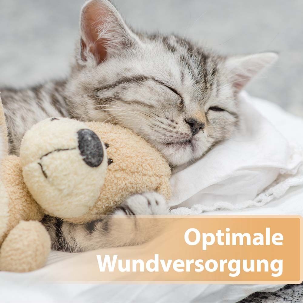 Kätzchen schläft mit Teddybär. Text: Optimale Wundversorgung.