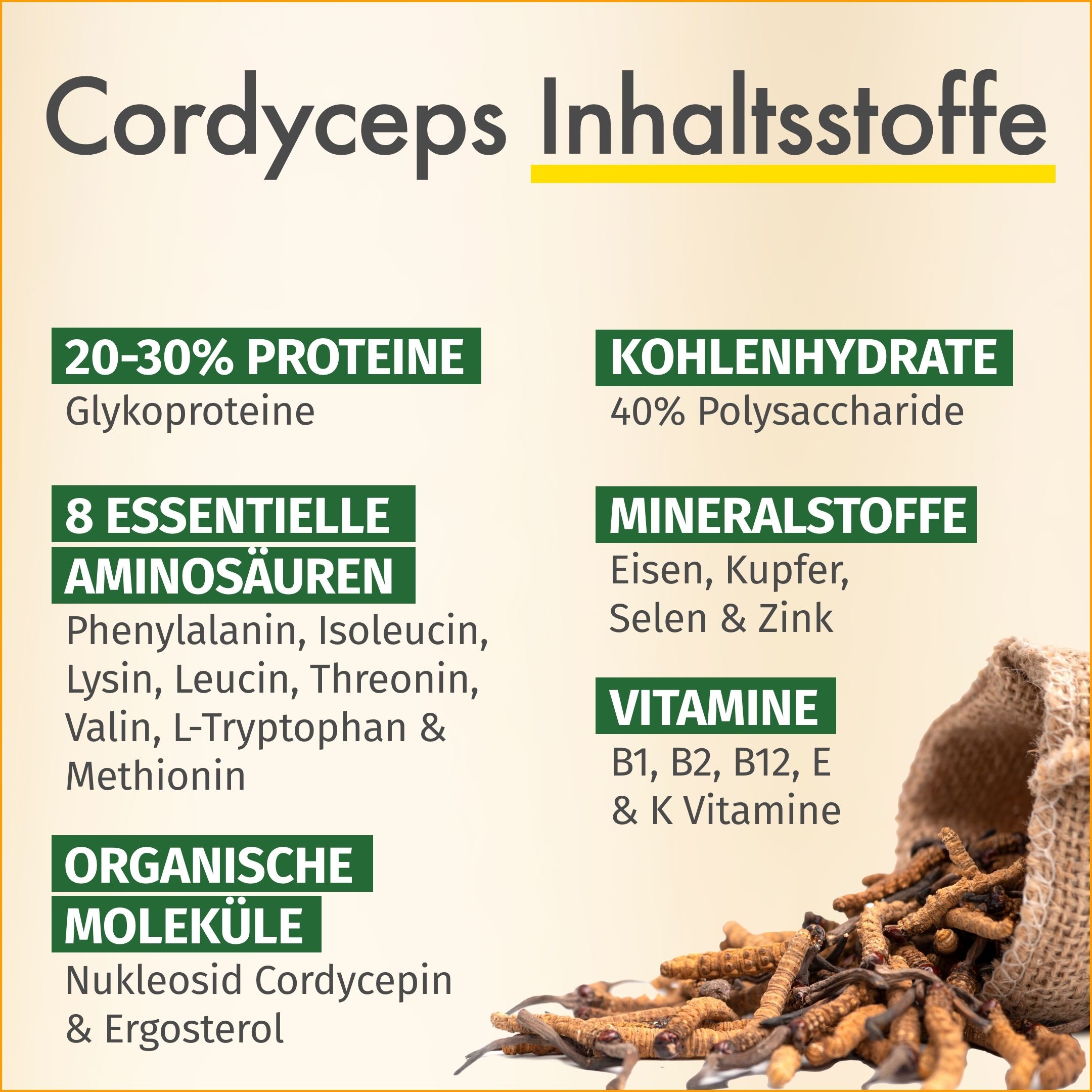 GREEN NATURALS Cordyceps sinensis