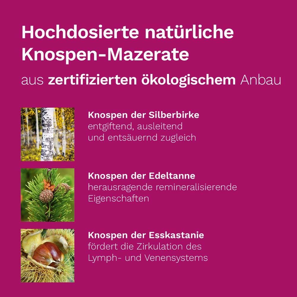 Texte sur les macérats de bourgeons. Images de genévrier et de romarin. Culture biologique certifiée.