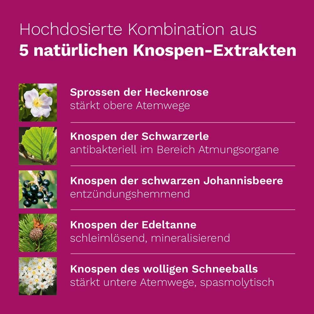Cinq images de plantes. Texte : Combinaison à haute dose de 5 extraits de bourgeons naturels.