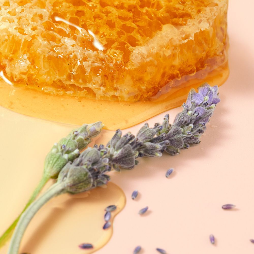 Nid d'abeille, fleurs de lavande et miel. Fond rose.