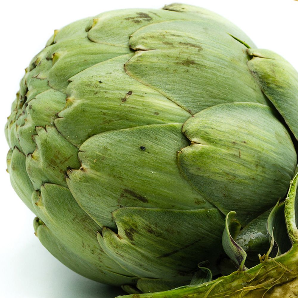 Artichaut, feuilles vertes, vue de dessus.