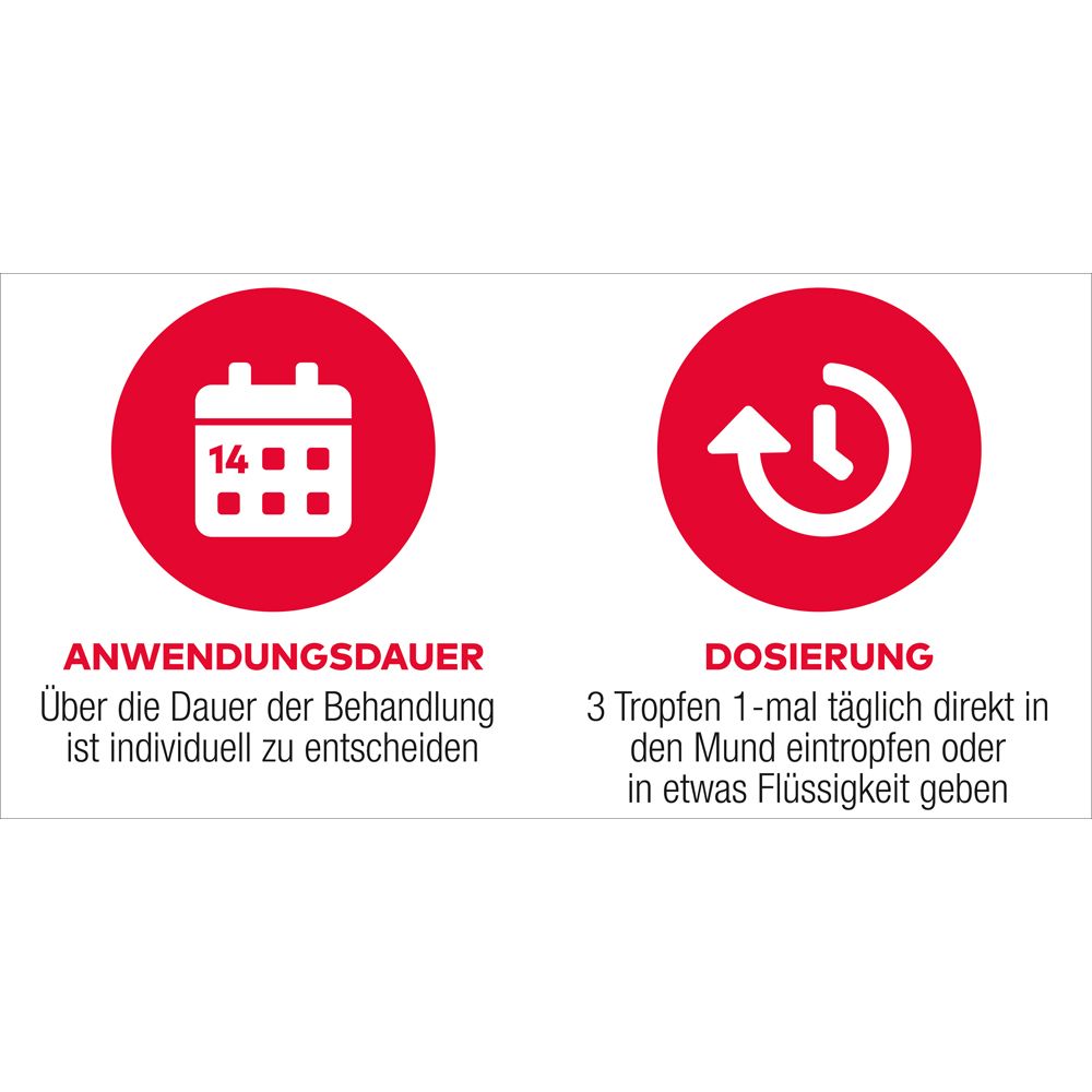Runde rote Icons. Anwendungsdauer: individuell. Dosierung: 3 Tropfen täglich.