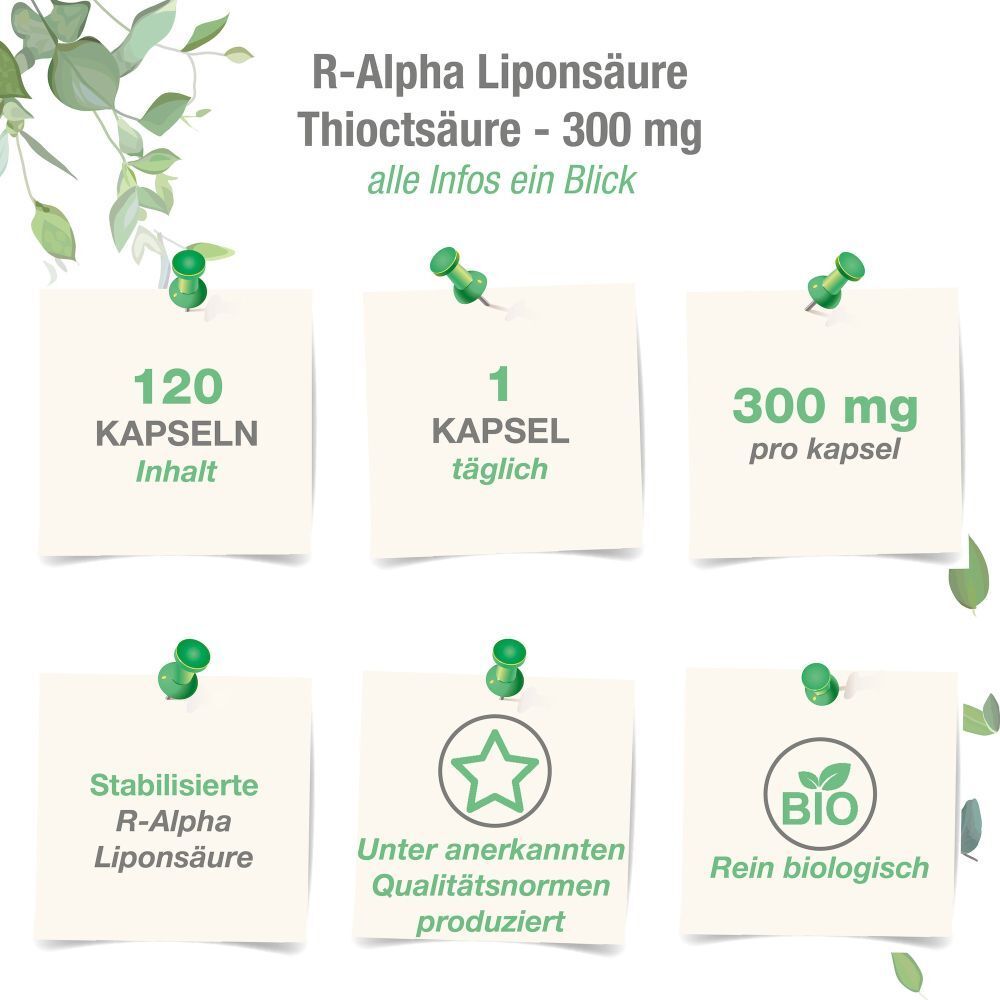 VITABAY® Acide R-Alpha Lipoïque 300 mg