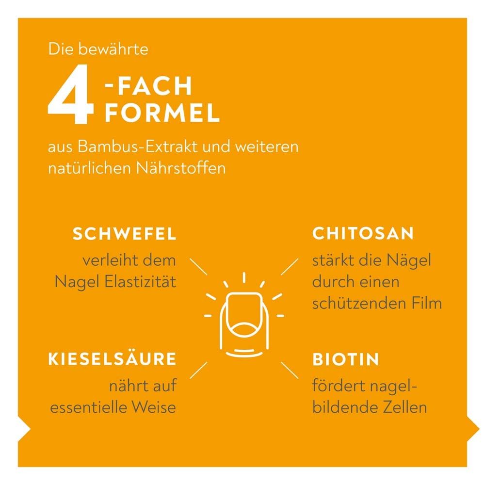 Grafik mit 4 Inhaltsstoffen. Schwefel, Chitosan, Kieselsäure, Biotin. Text: Aus Bambus-Extrakt und weiteren natürlichen Nährstoffen.