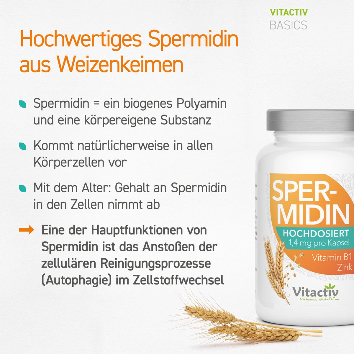 feelgood® SPERMIDIN Kapseln + Vitamin B1 + Zink